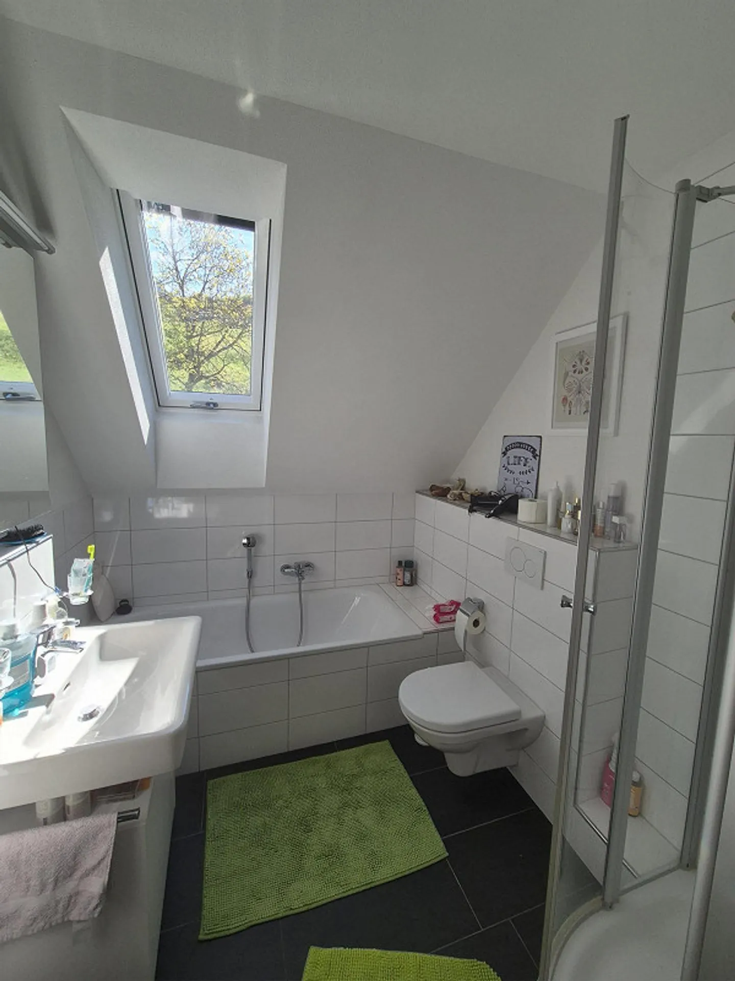 Pet-Friendly Home in Switzerland - Photo 7 of 9