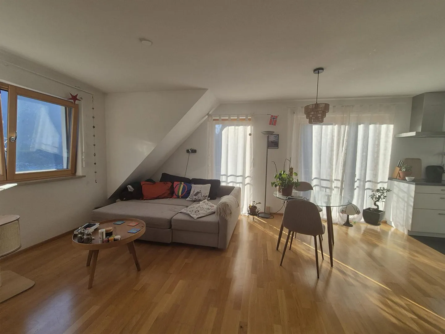 Pet-Friendly Home in Switzerland - Photo 2 of 9