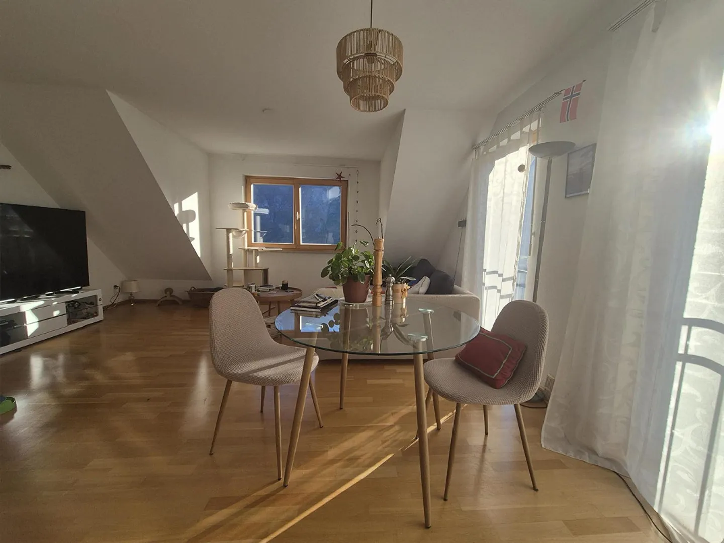 Pet-Friendly Home in Switzerland - Photo 3 of 9