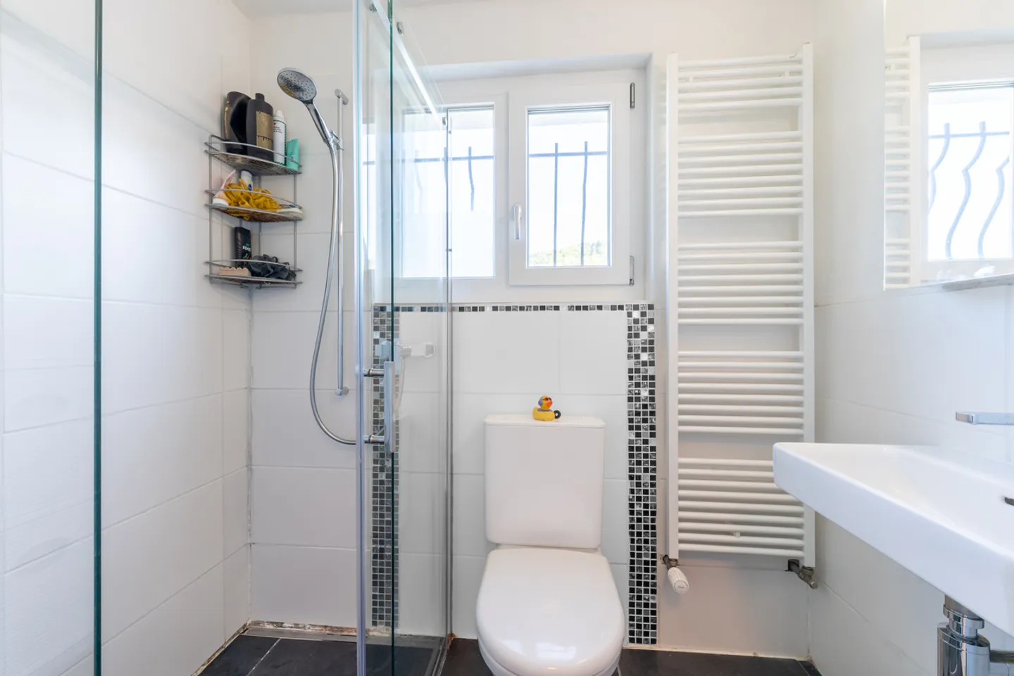 Charming 4.5-room single-family house - Photo 7 of 12