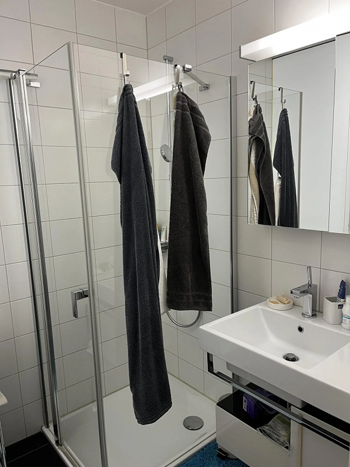 Appartamento 2,5 locali a Zollikon dal 1° settembre - Foto 4 di 5