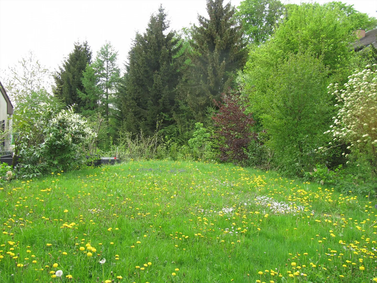 Geräumiges Einfamilienhaus in St. Gallen - Foto 11 von 11
