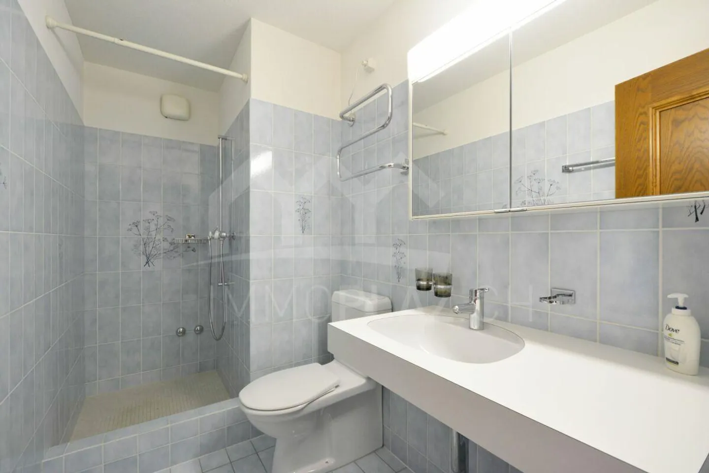 Ampio appartamento di 4½ locali in una posizione tranquilla - Foto 7 di 9