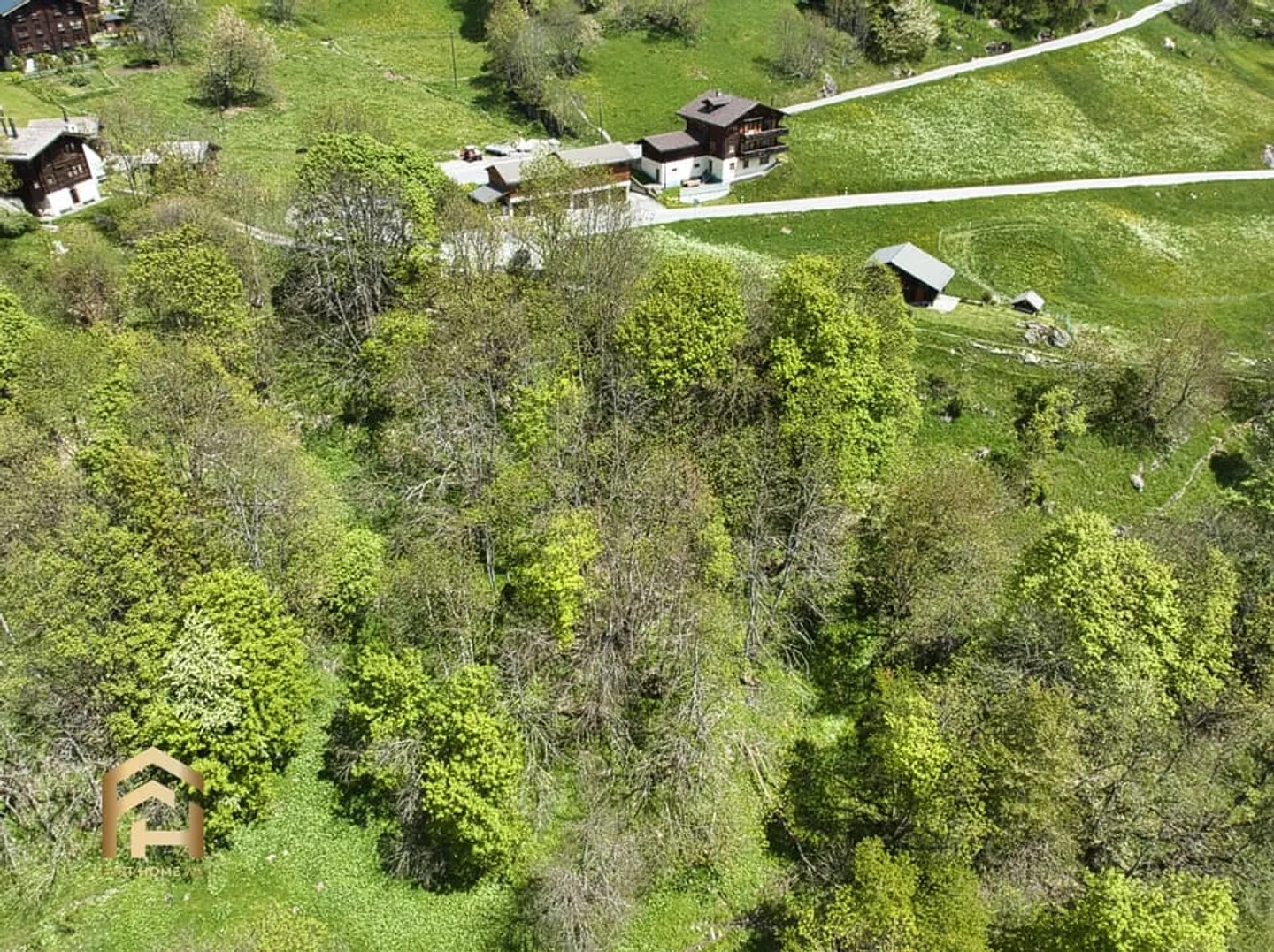 Ampia area alpina e forestale a Bellwald Ideale per l'allevamento di animali - Foto 1 di 13