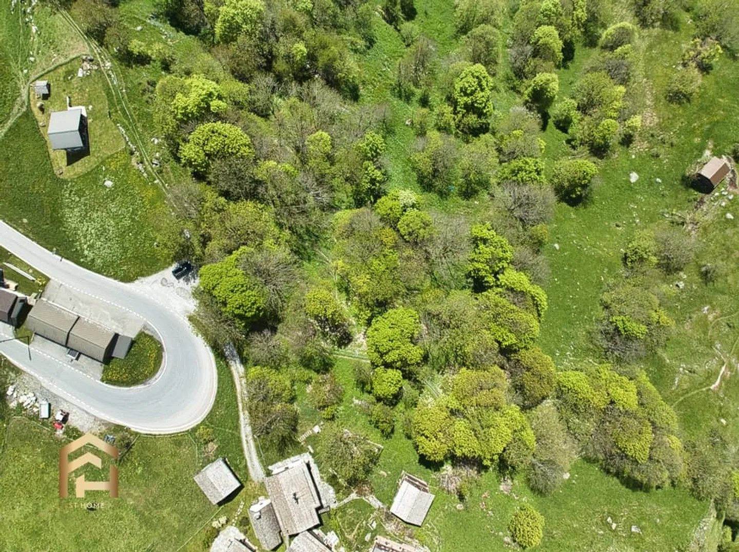 Ampia area alpina e forestale a Bellwald Ideale per l'allevamento di animali - Foto 2 di 13