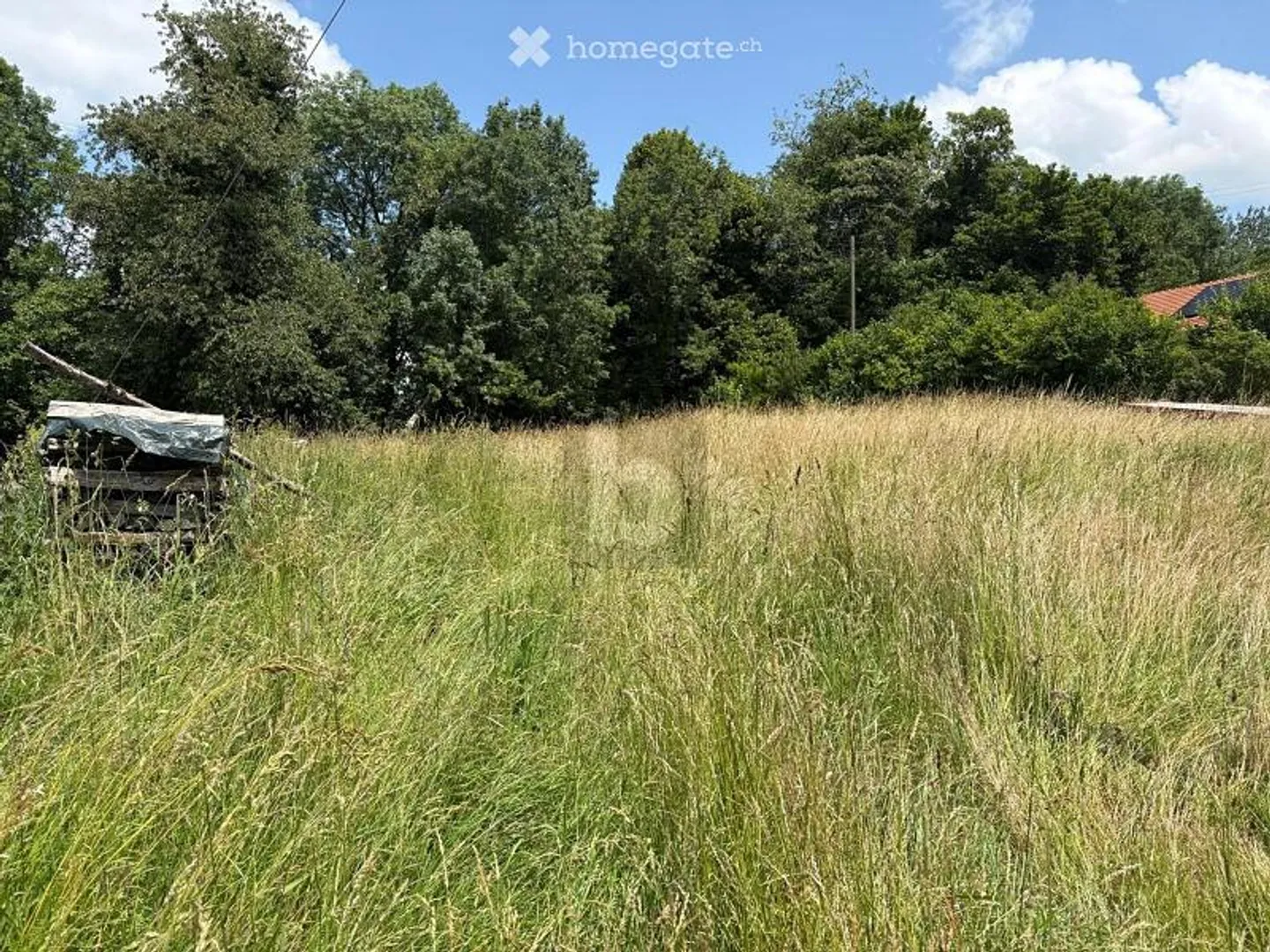 Baugrundstück - Foto 2 von 3