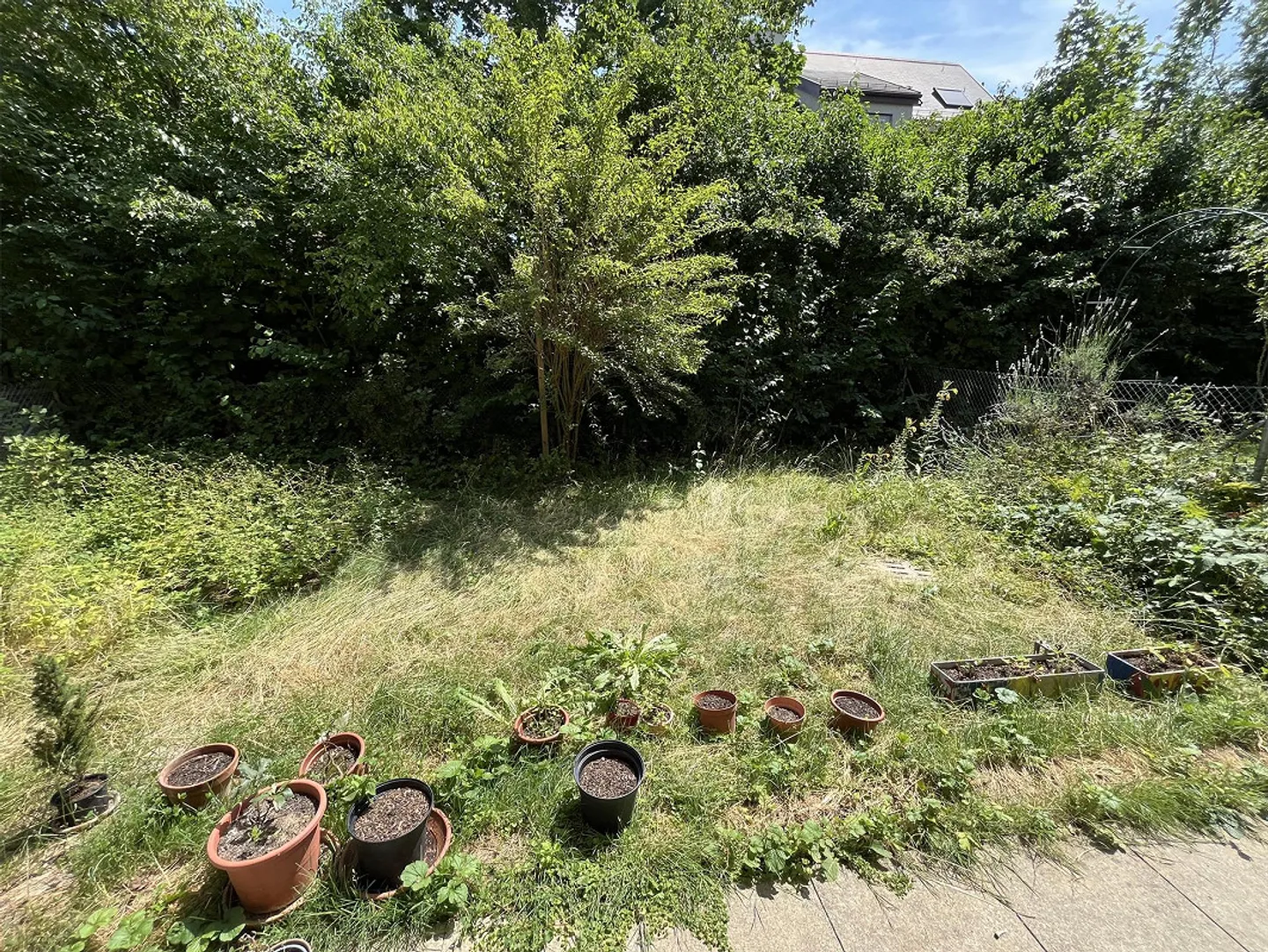 Ampio appartamento di 4,5 stanze con giardino a Zurigo Affoltern - Foto 15 di 15