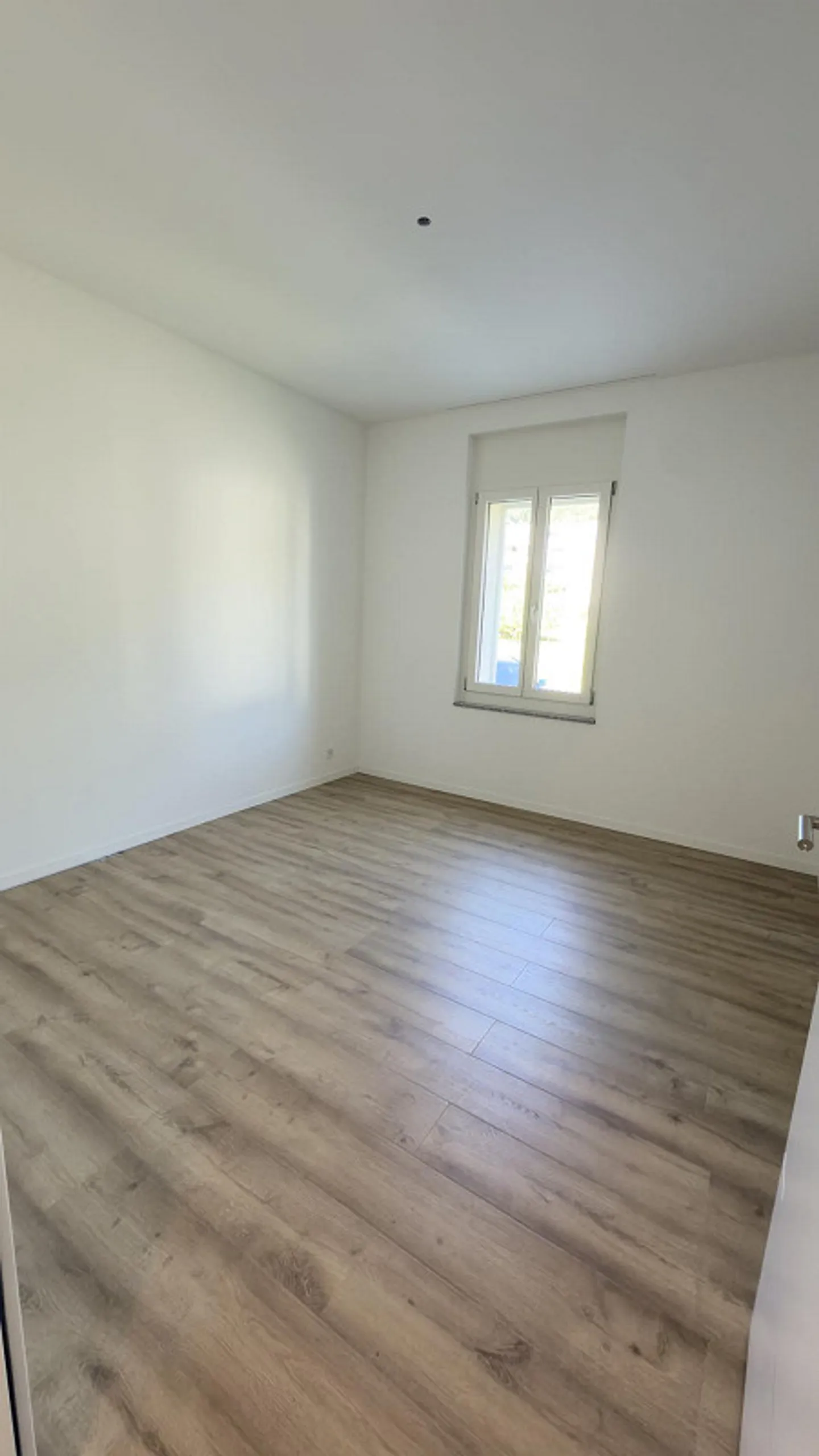 Luxurious Garden Apartment - Photo 23 of 24