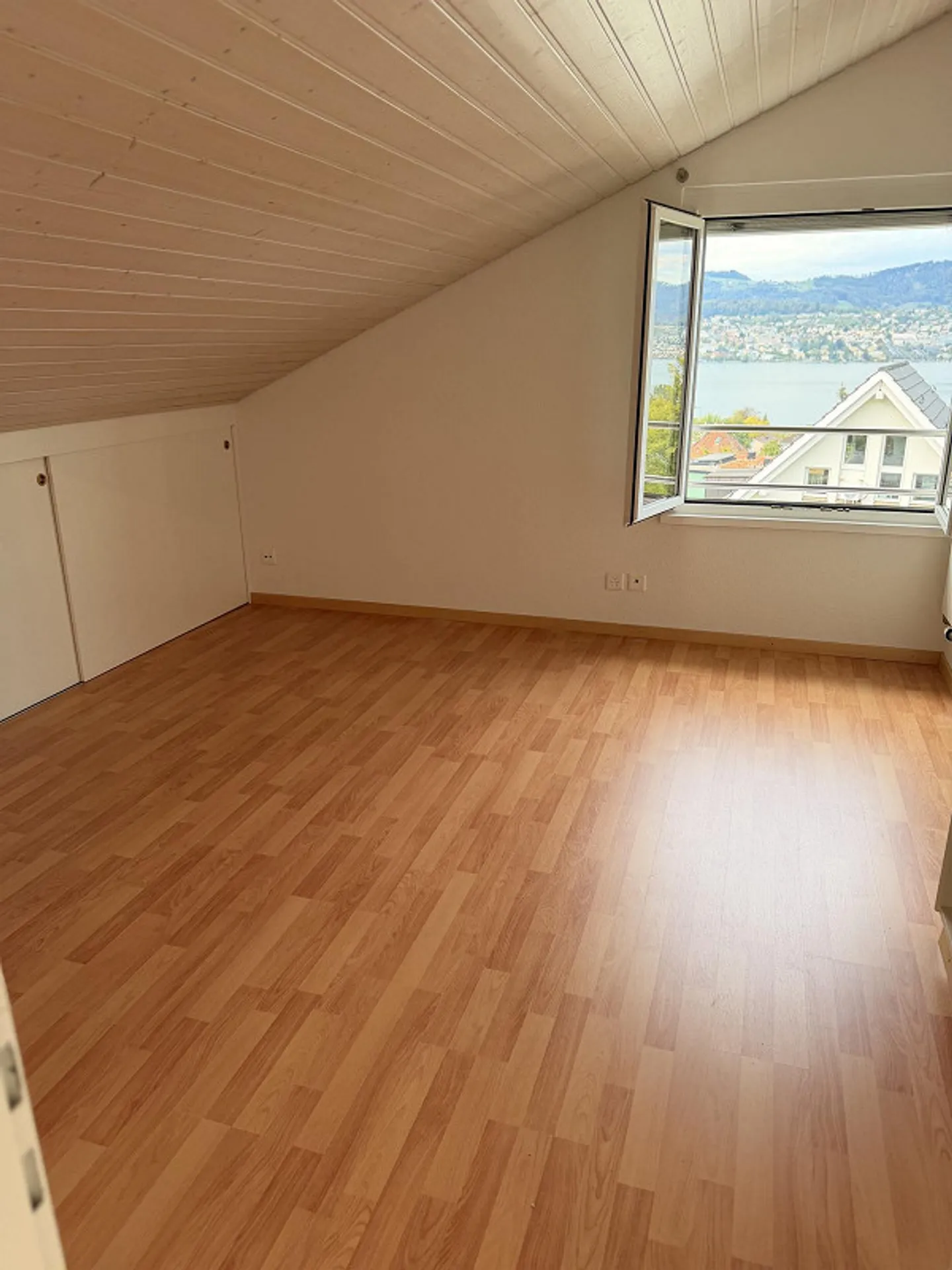 Vista da sogno sui tetti di Erlenbach ZH - Foto 8 di 13
