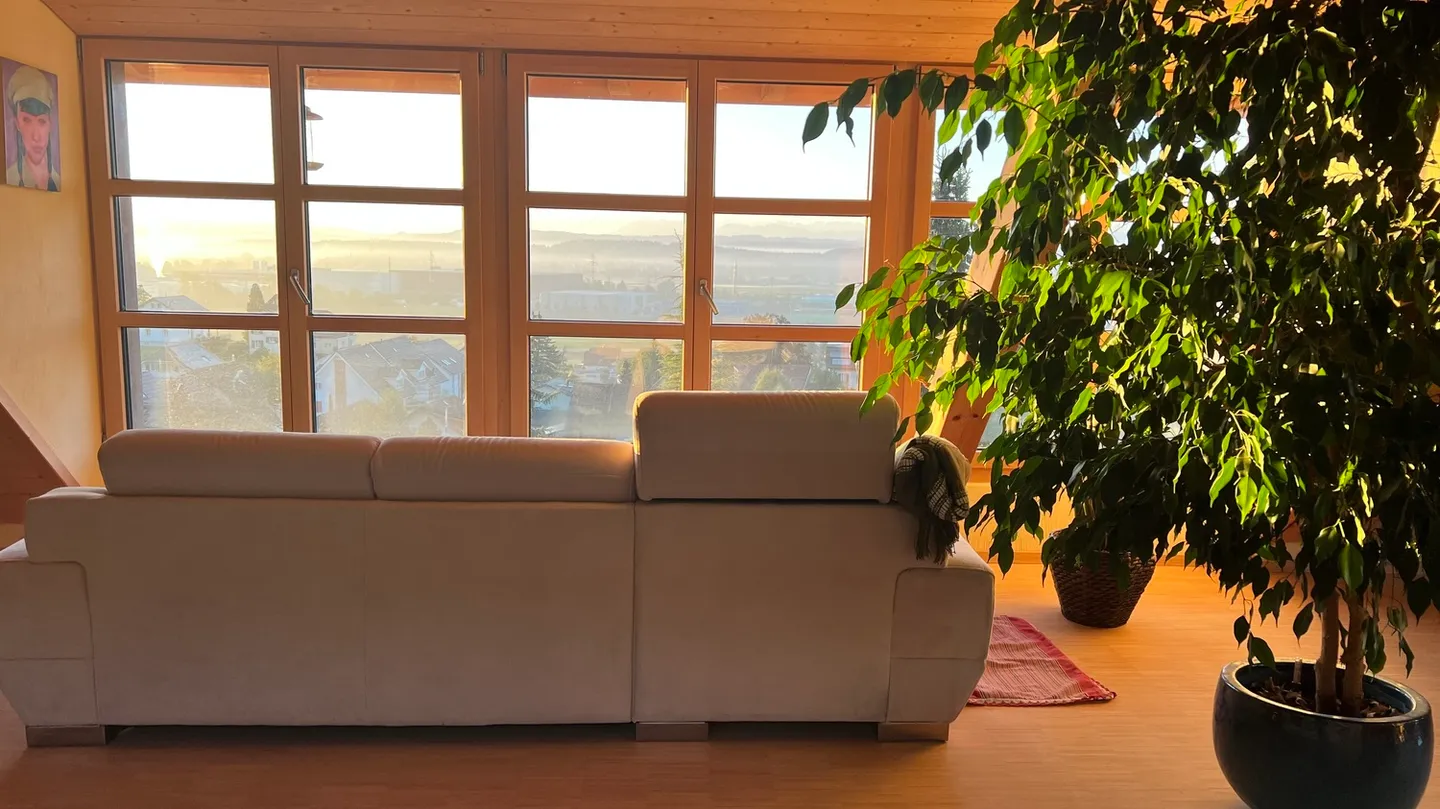 3½ ZI-WOHNUNG IN OBERBUCHSITEN (SO), MÖBLIERT - Foto 10 von 10