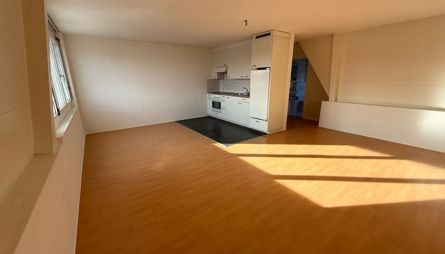 3- ZIMMER WOHNUNG 75M2 1200.-,  1- ZIMMER- WHG  850.-, 6- ZIMMER 150M2 2000.- - Foto 30 von 34