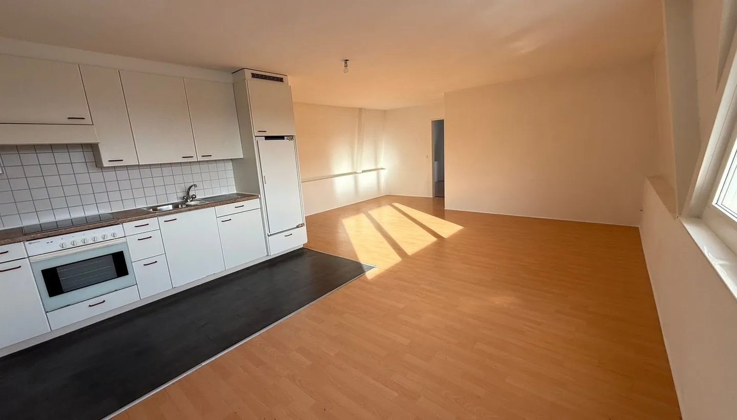 3- ZIMMER WOHNUNG 75M2 1200.-,  1- ZIMMER- WHG  850.-, 6- ZIMMER 150M2 2000.- - Foto 31 von 34