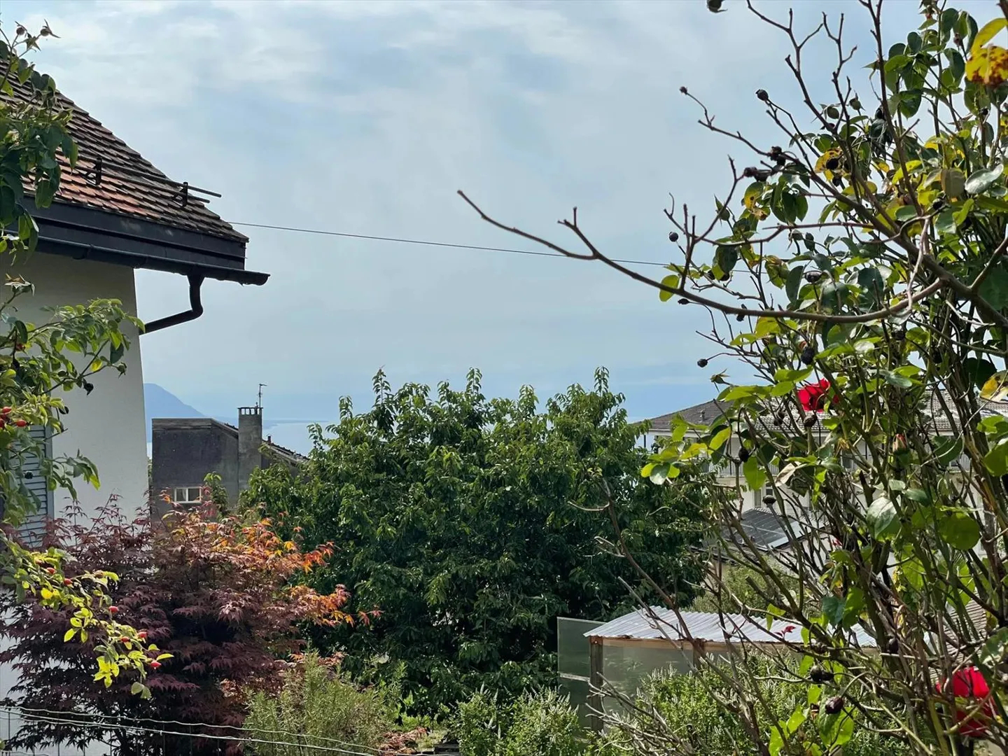 Vollständig renovierte 3,5-Zimmer-Wohnung im Erdgeschoss mit Garten. - Foto 13 von 13