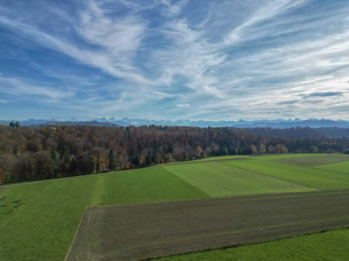 Vivere con vista libera sulle Alpi - Foto 10 di 14