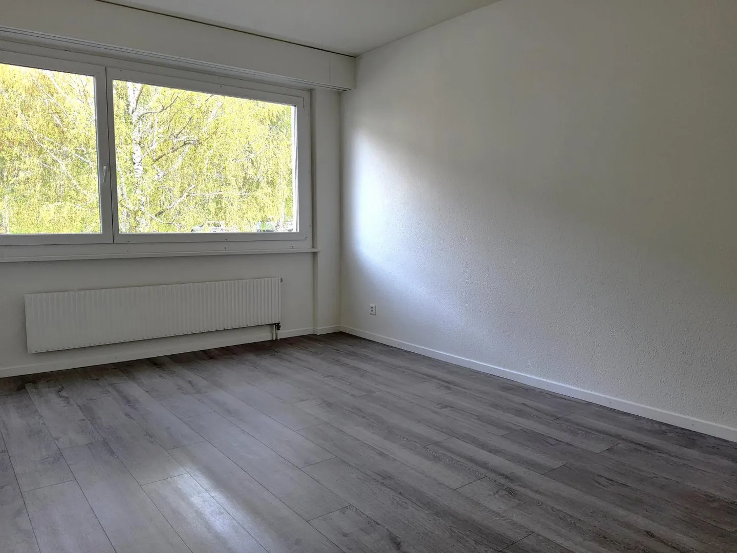 3.5 Room Apartment - Photo 4 of 7