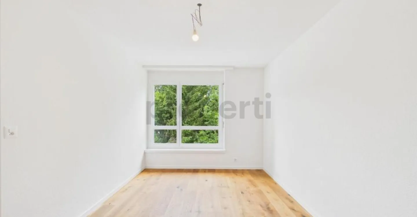 Neu renovierte 3.5-Zimmer-Wohnung, Schönenberg TG - Foto 9 di 13