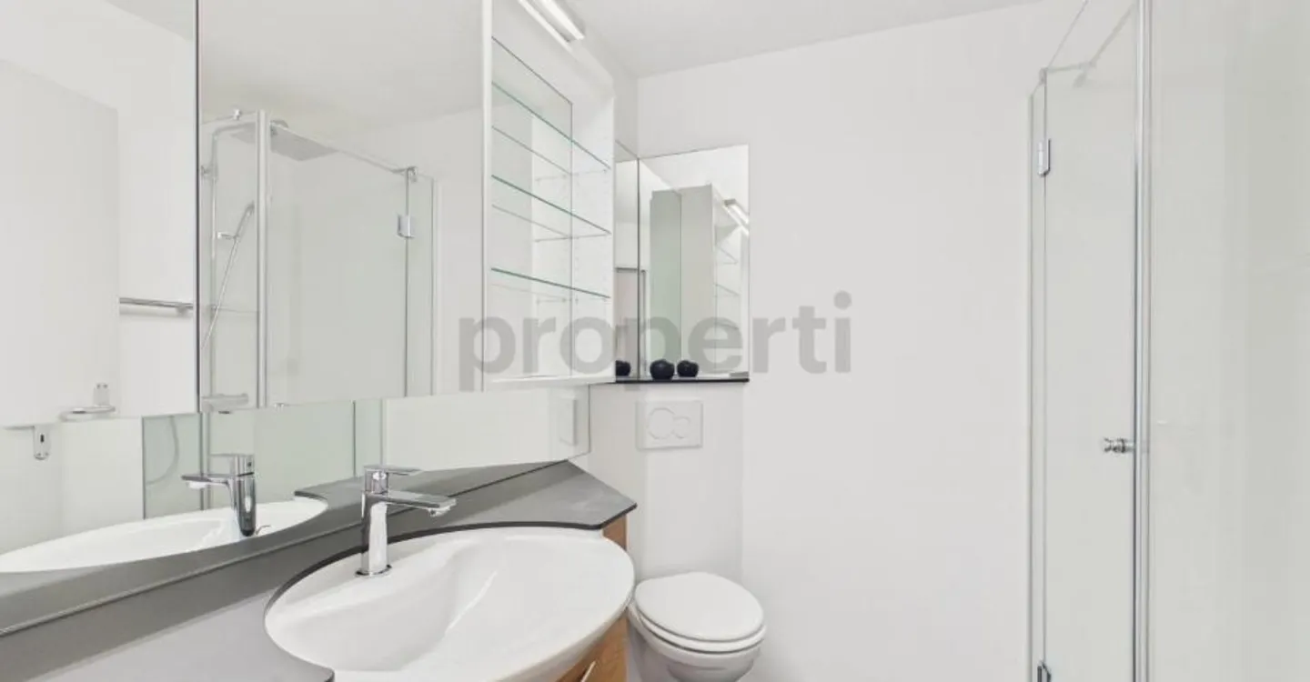 Neu renovierte 3.5-Zimmer-Wohnung, Schönenberg TG - Foto 11 di 13