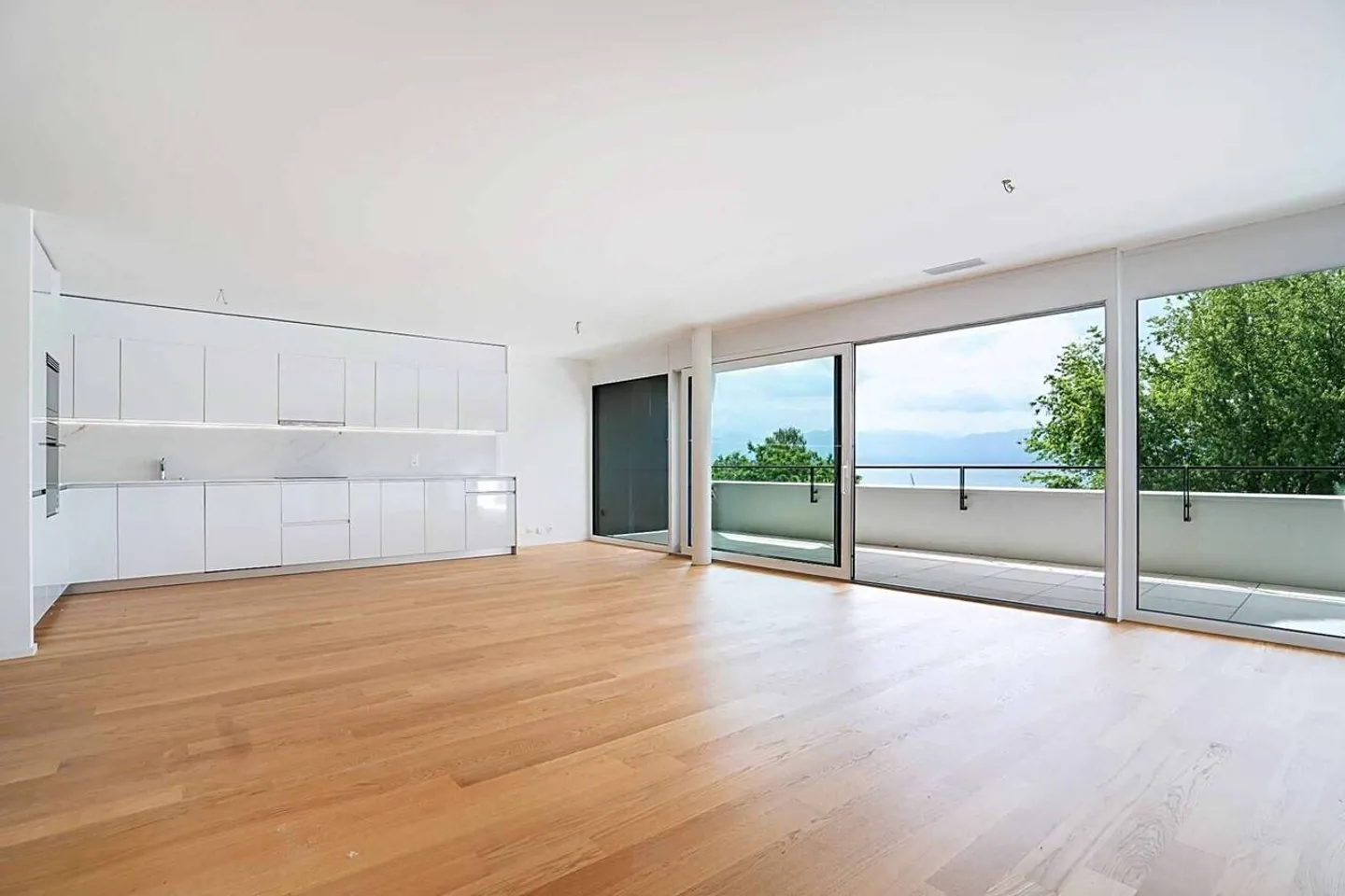 Luxueux 4.5 pièces traversant avec balcon couvert de 76m2 et vue lac - Photo 3 sur 13