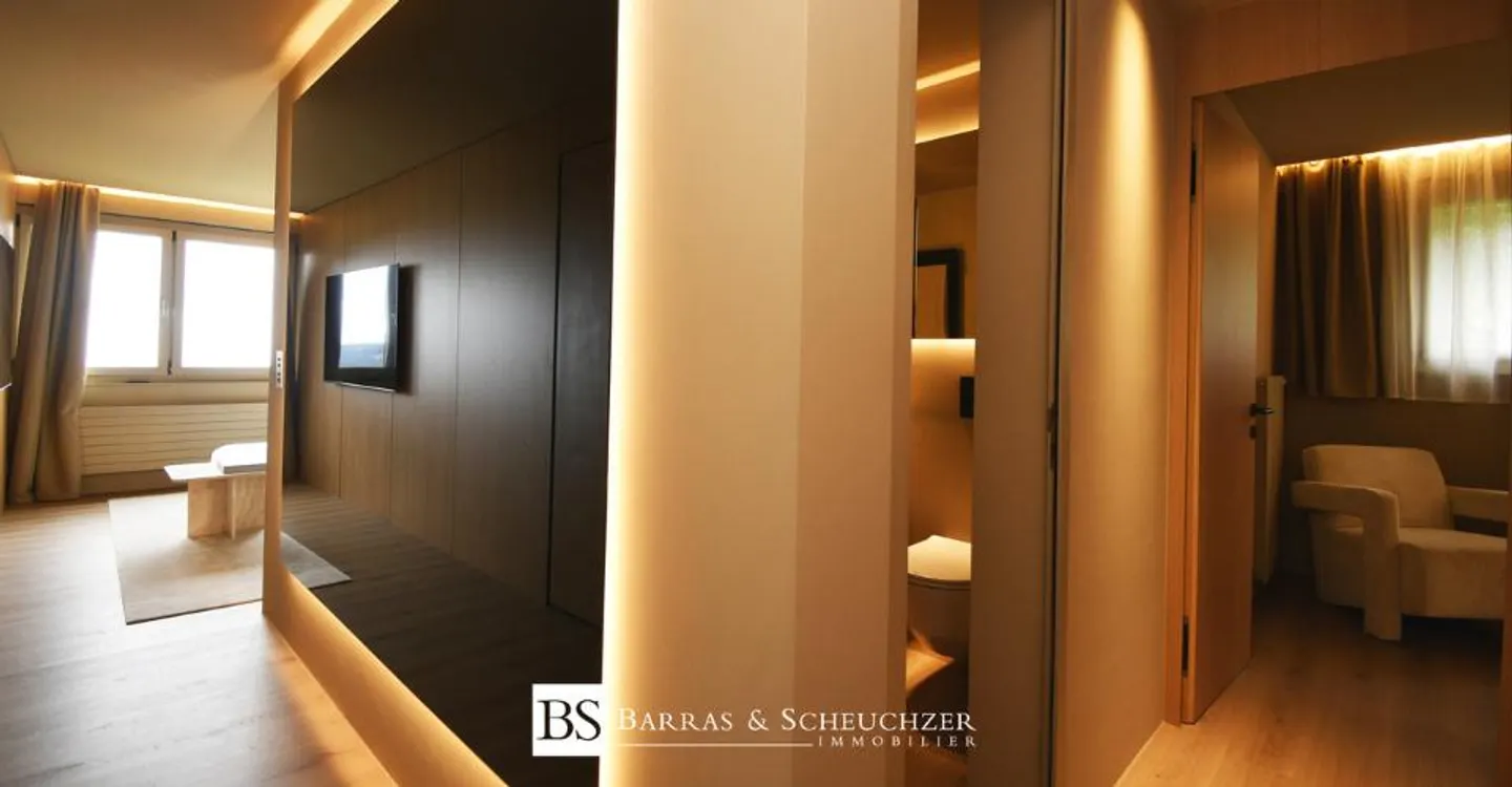 Luxurious 3.5 room fully renovated and furnished - Photo 9 of 11