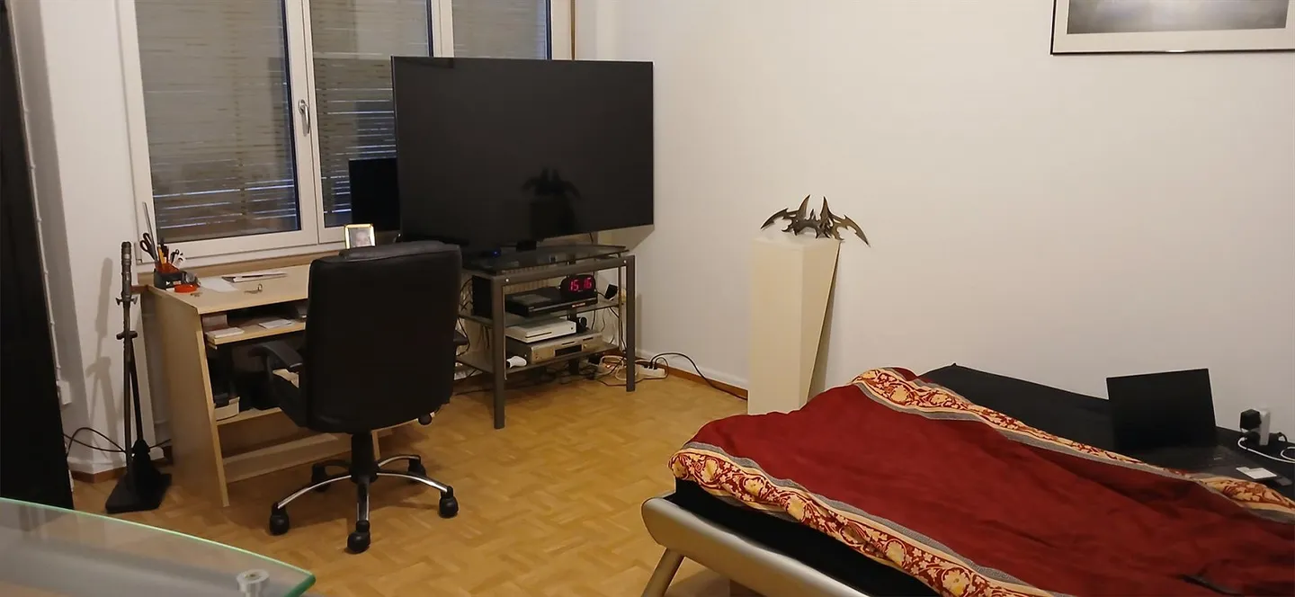 1.5 Room Apartment Centrally Located - Photo 2 of 4