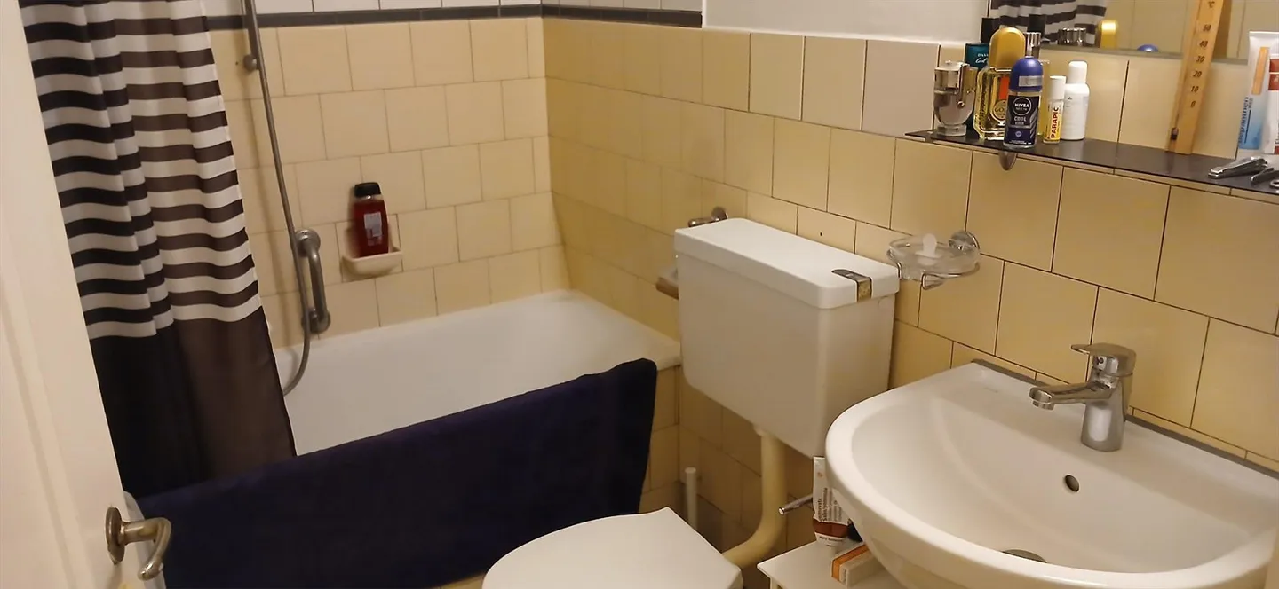 1.5 Room Apartment Centrally Located - Photo 3 of 4