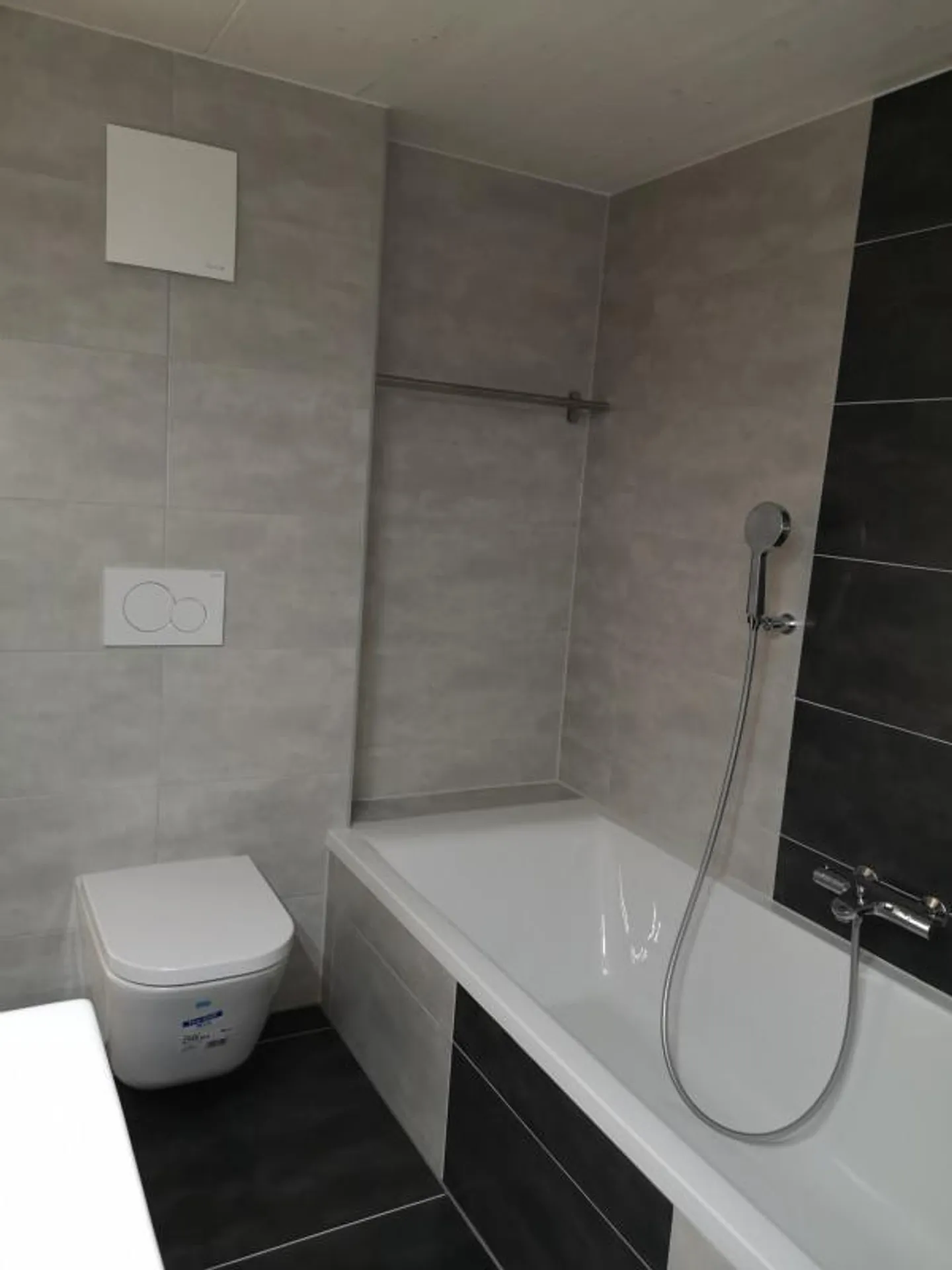 Duplex eccezionale con splendida vista sul Lago di Morat e sulle Alpi - Foto 7 di 13