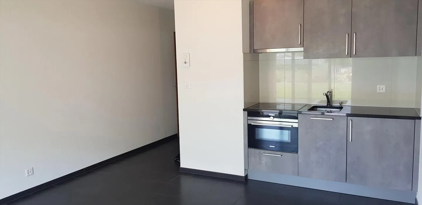 Appartement 1 pièce - Photo 2 sur 4