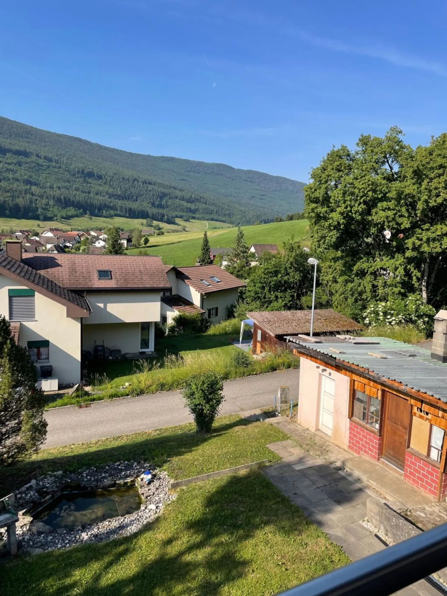 Bijoux situato in posizione tranquilla cerca la sua persona preferita - Foto 3 di 15