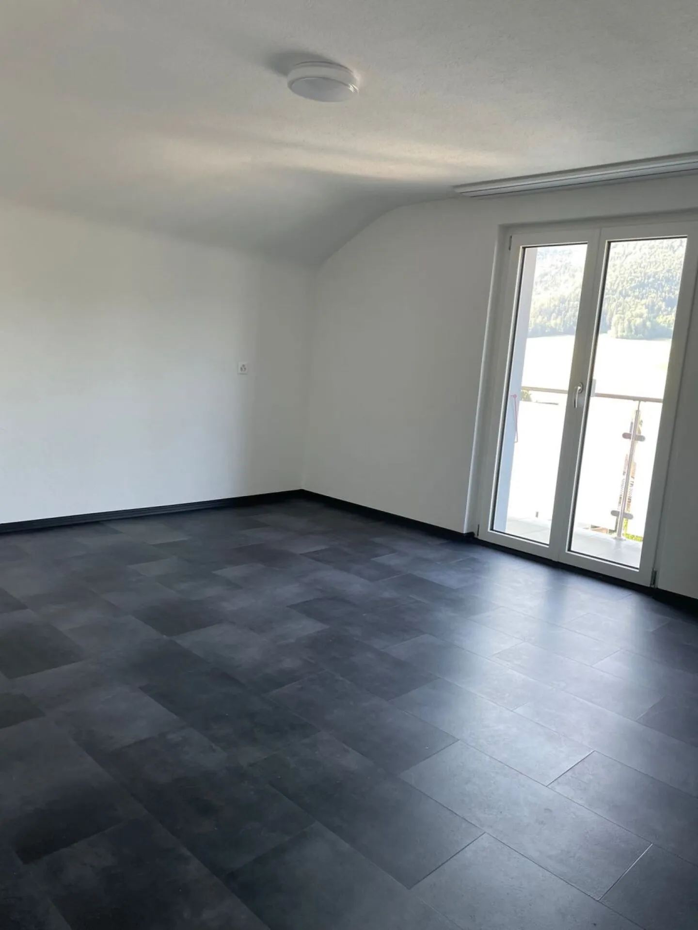 Bijoux situato in posizione tranquilla cerca la sua persona preferita - Foto 12 di 15