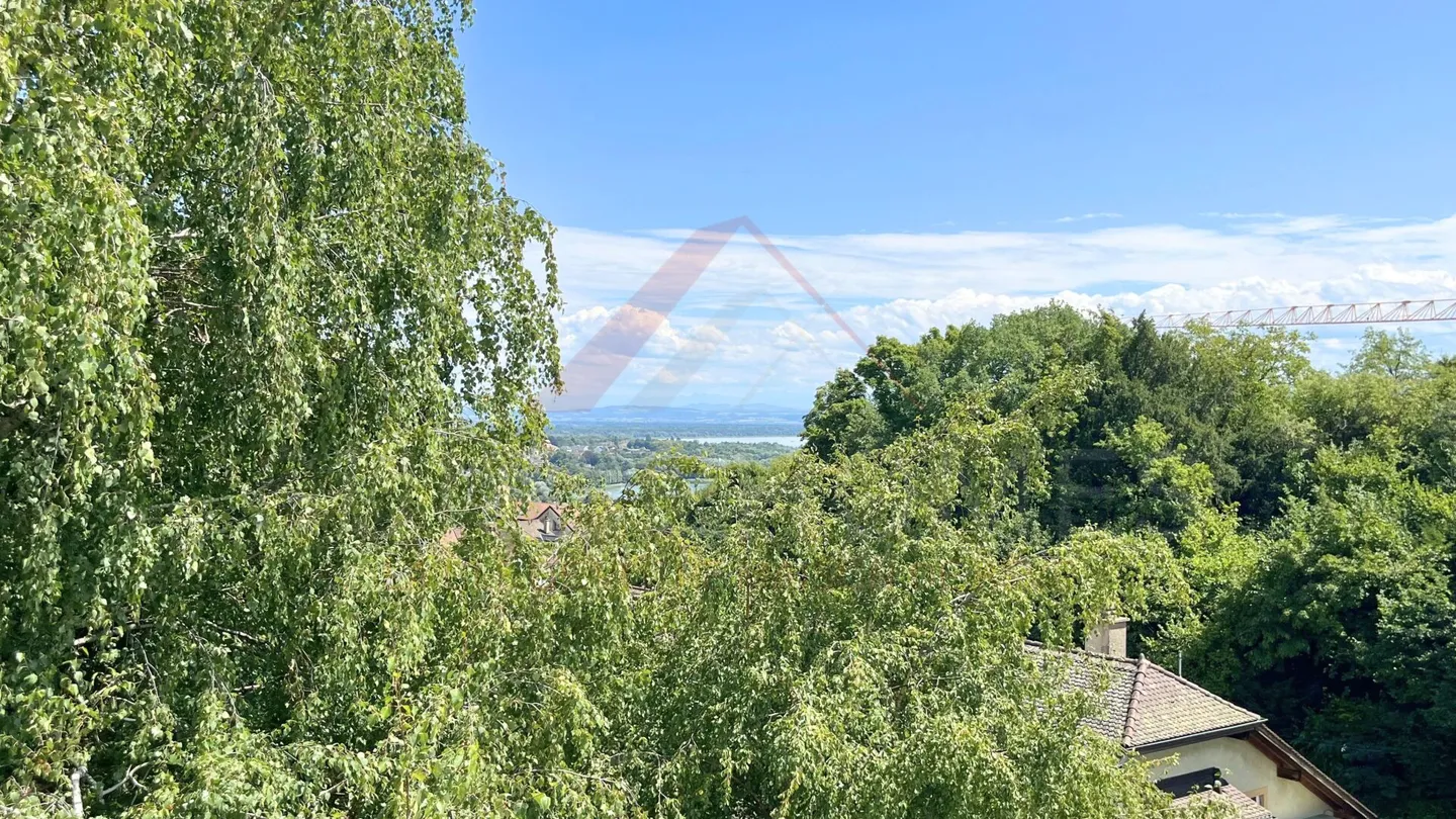Raro a Neuchâtel: duplex familiare di 149 m² con terrazza, giardino e garage doppio - Foto 27 di 27