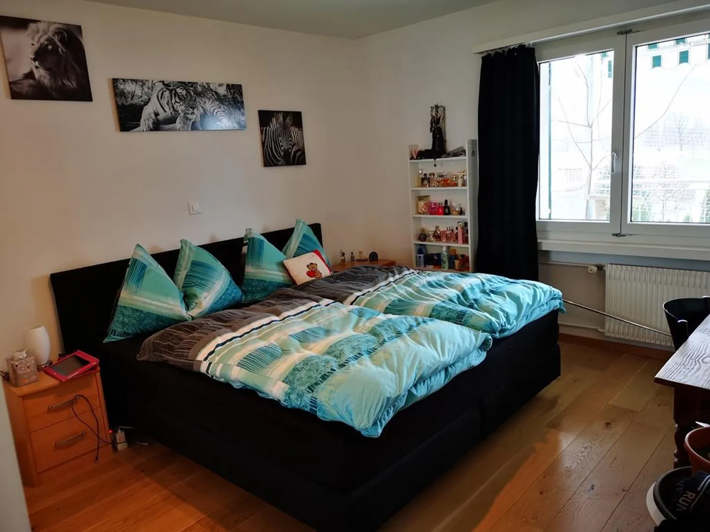 Sentirsi bene è facile - Appartamento affascinante di 2,5 stanze - Foto 5 di 6