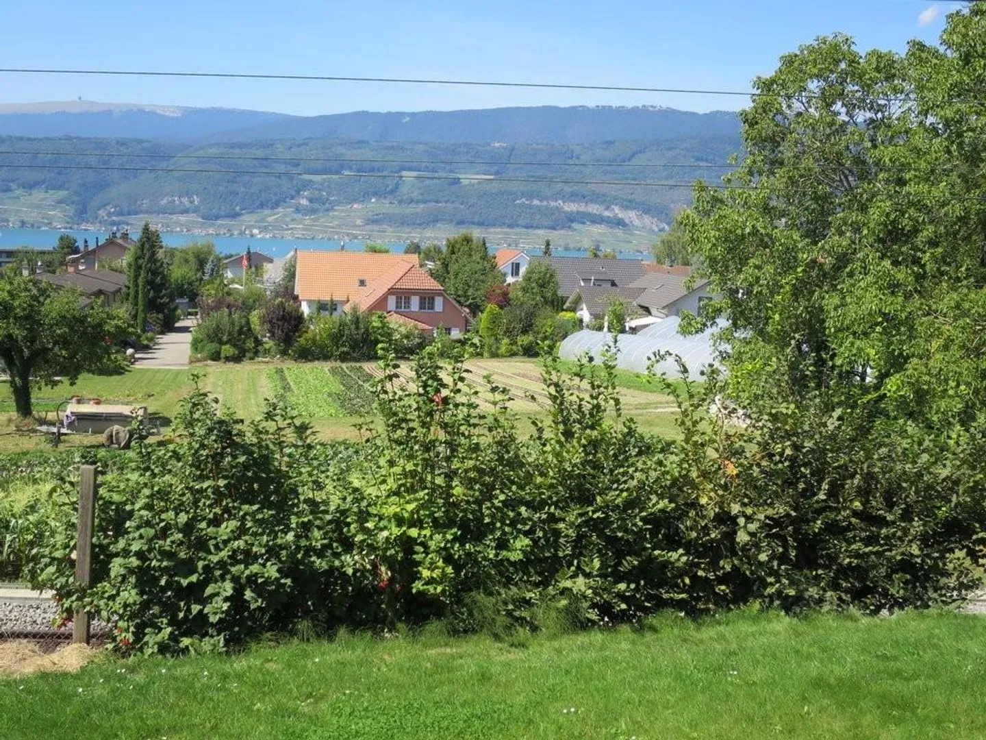 Your new apartment with a view of Lake Biel! - Photo 8 of 9