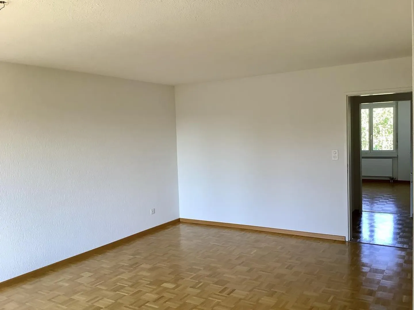 Visita: Martedì 17 marzo 2026 dalle 18:00 alle 19:00 - Foto 5 di 11