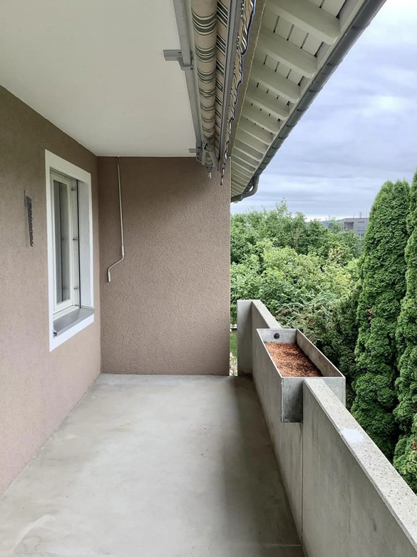 Visita: Martedì 17 marzo 2026 dalle 18:00 alle 19:00 - Foto 8 di 11