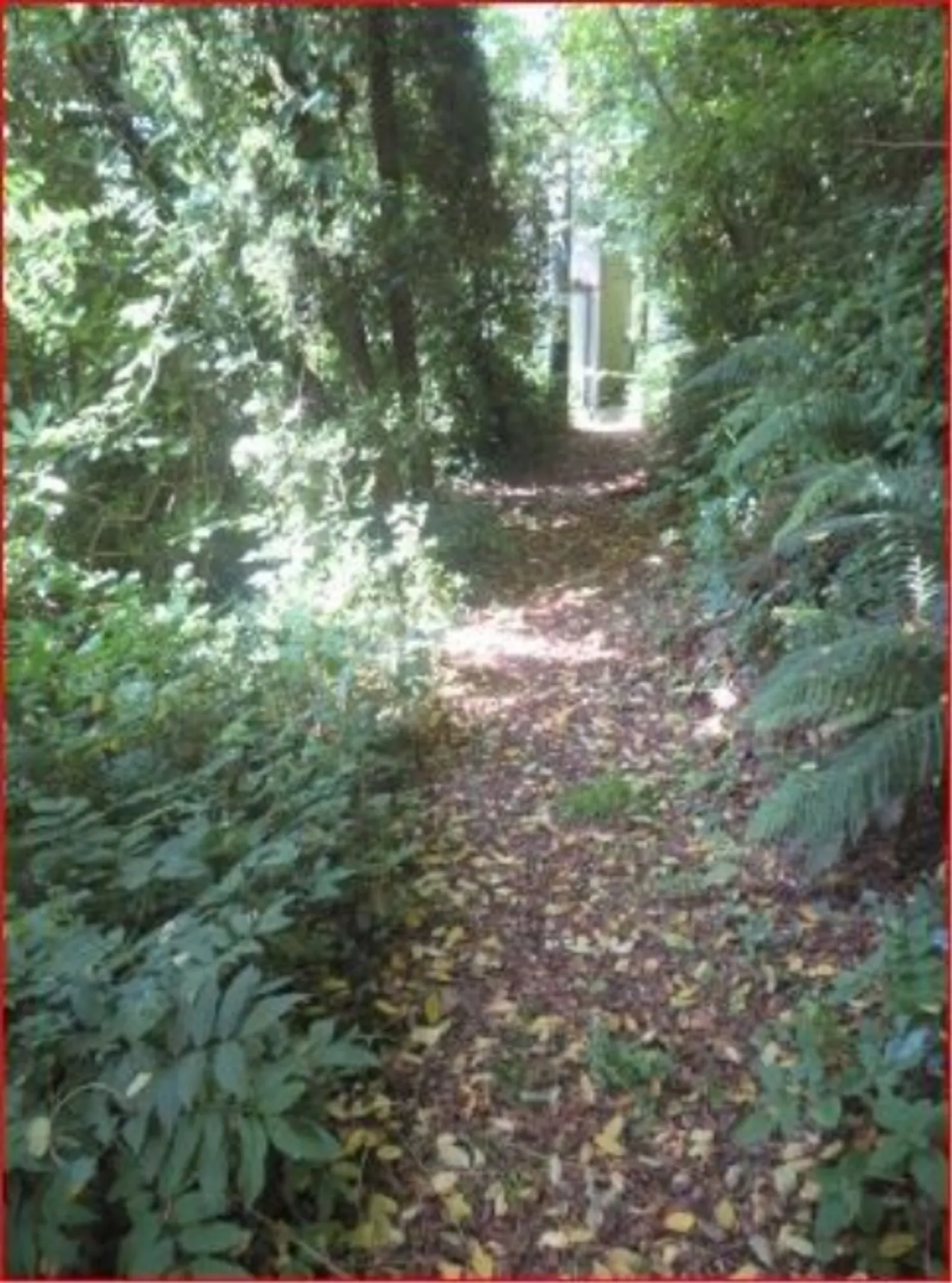 «*Casa unifamiliari*» - Foto 6 di 6