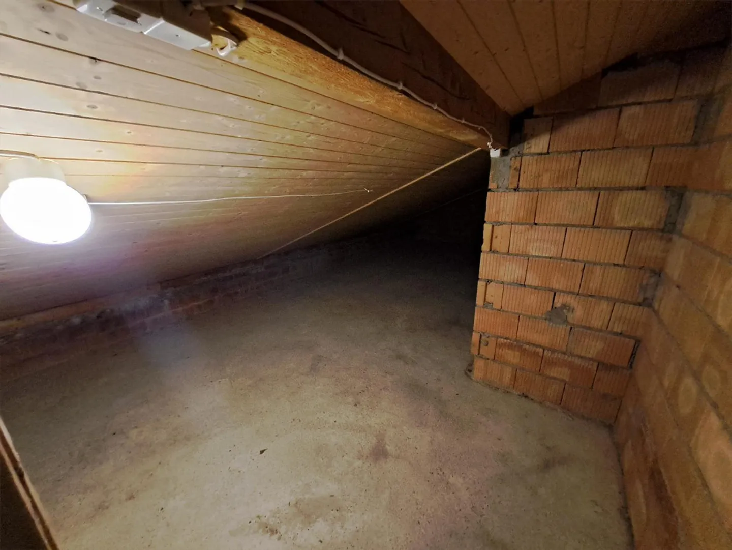 Freshly renovated, cozy 1.5-room apartment for rent in Heiden! - Photo 5 of 6