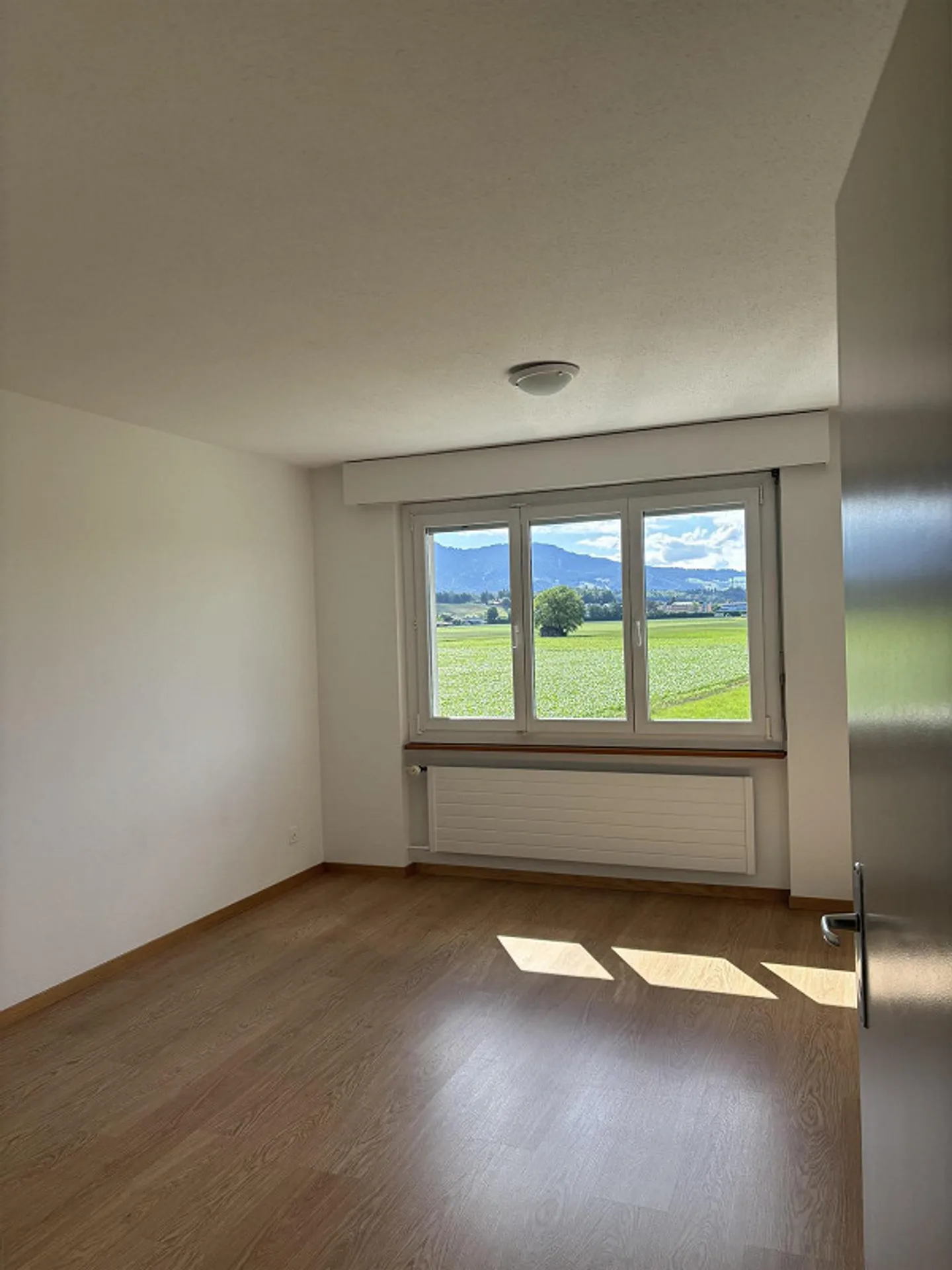 Geräumige Wohnung in Thun - Foto 1 von 7