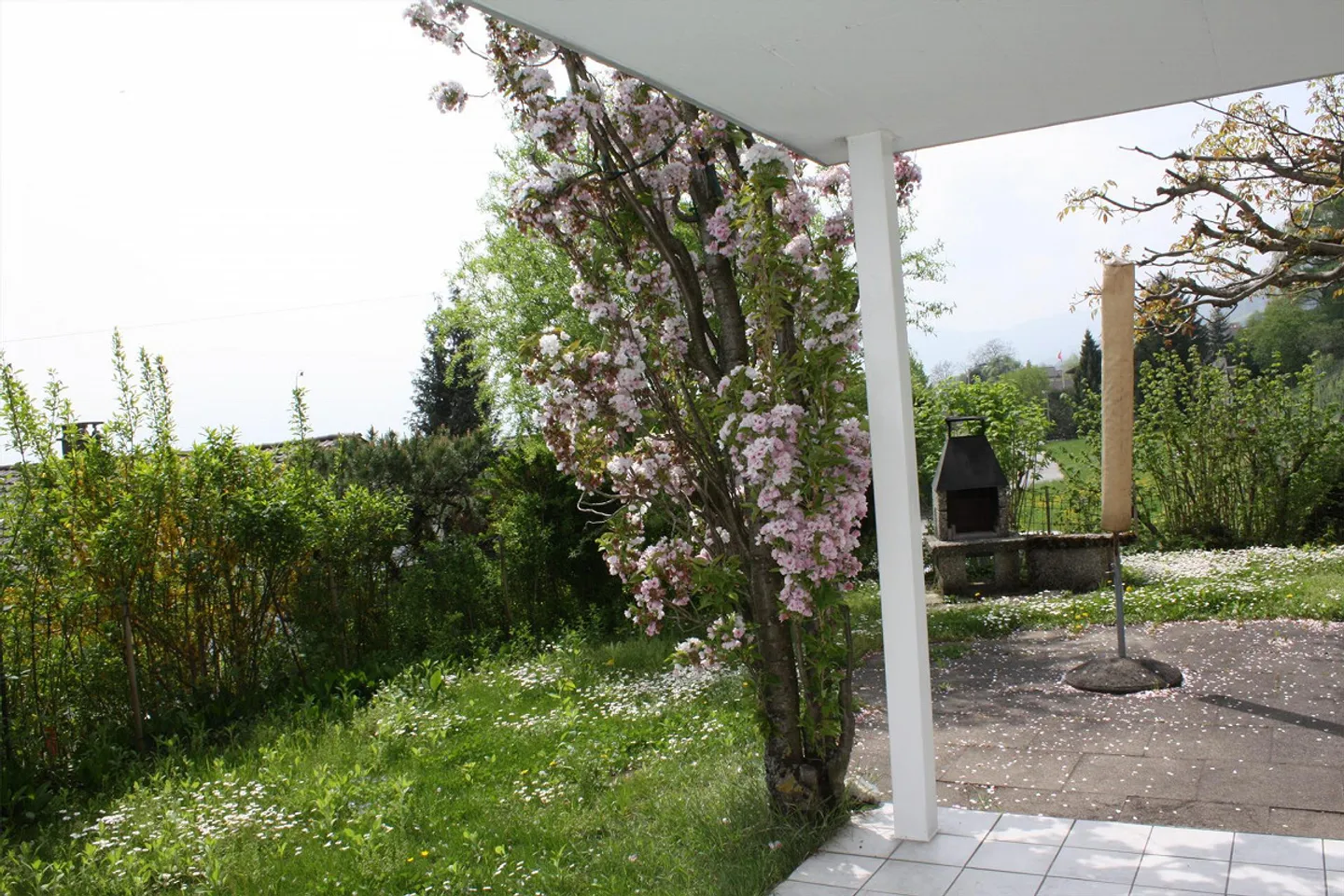 Dreamy 5.5 Room Single-Family House in Sunny Hillside Location - Photo 3 of 10