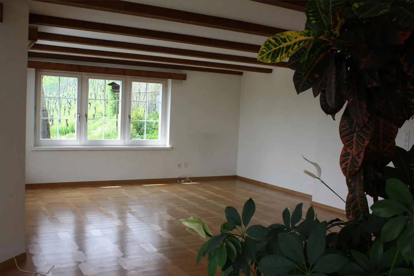 Dreamy 5.5 Room Single-Family House in Sunny Hillside Location - Photo 8 of 10