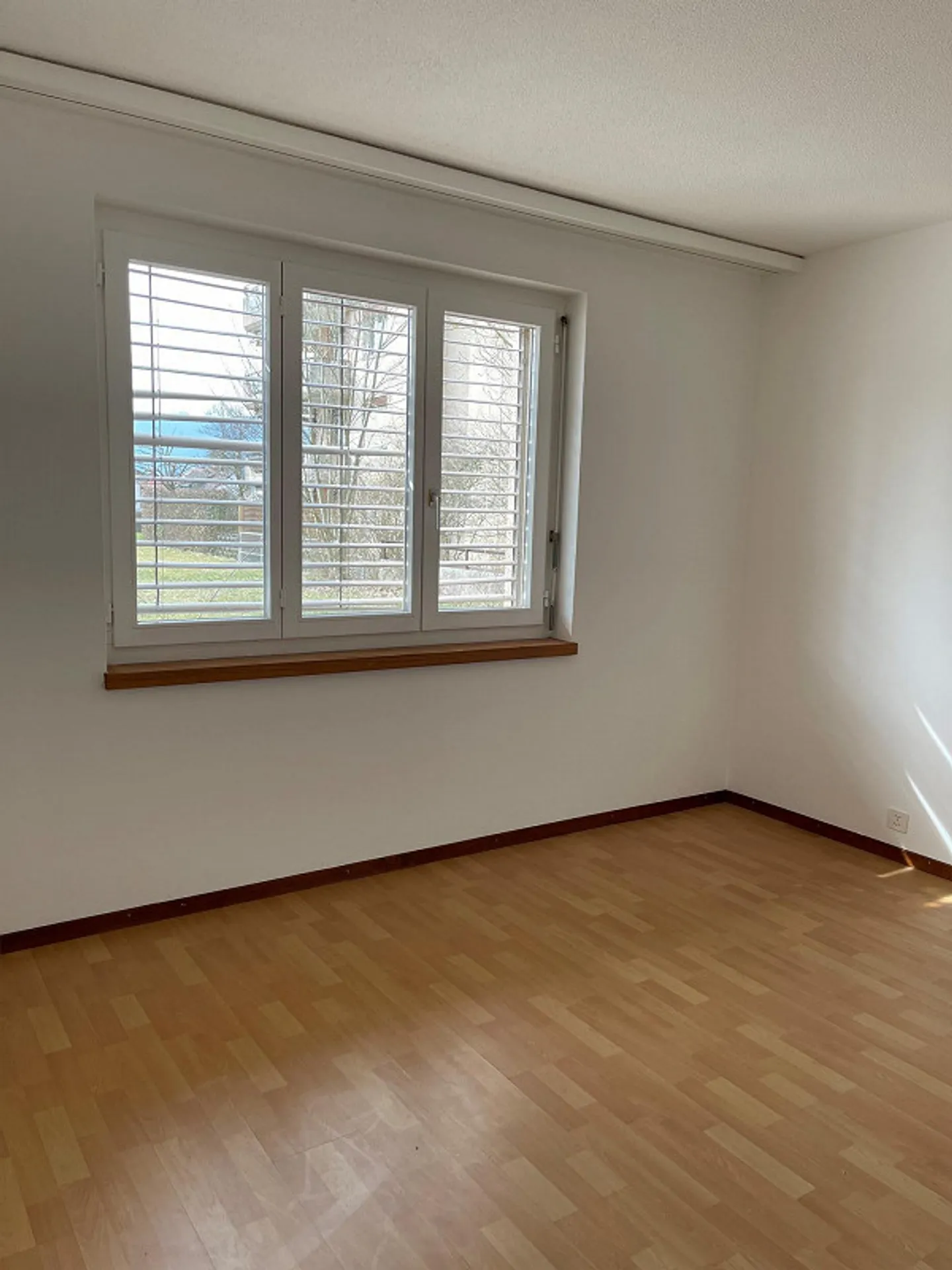Sonnige 3½-Zimmer-Wohnung - Foto 5 von 9