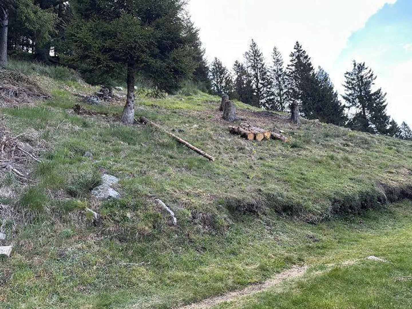 Chalet di 4 stanze in una posizione molto tranquilla e soleggiata con vista - Foto 26 di 39