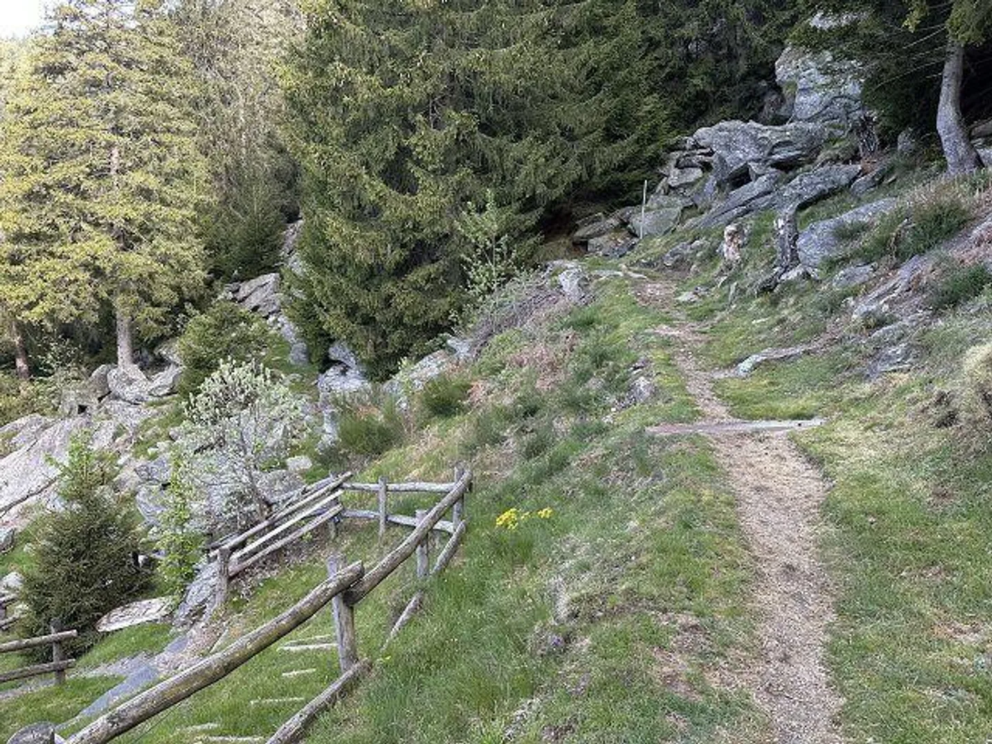 Chalet di 4 stanze in una posizione molto tranquilla e soleggiata con vista - Foto 32 di 39