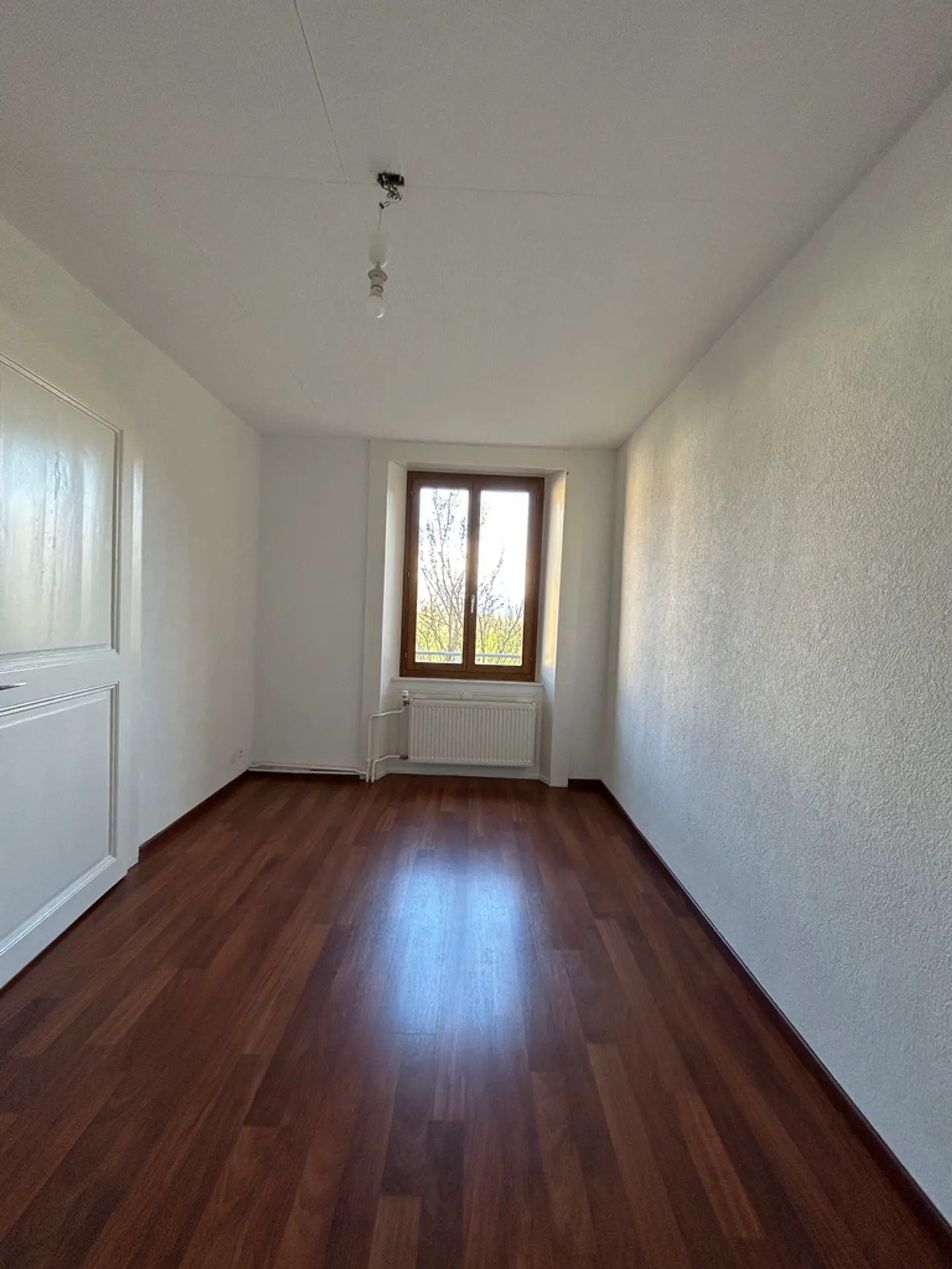 3.5 Room Apartment - Photo 3 of 6