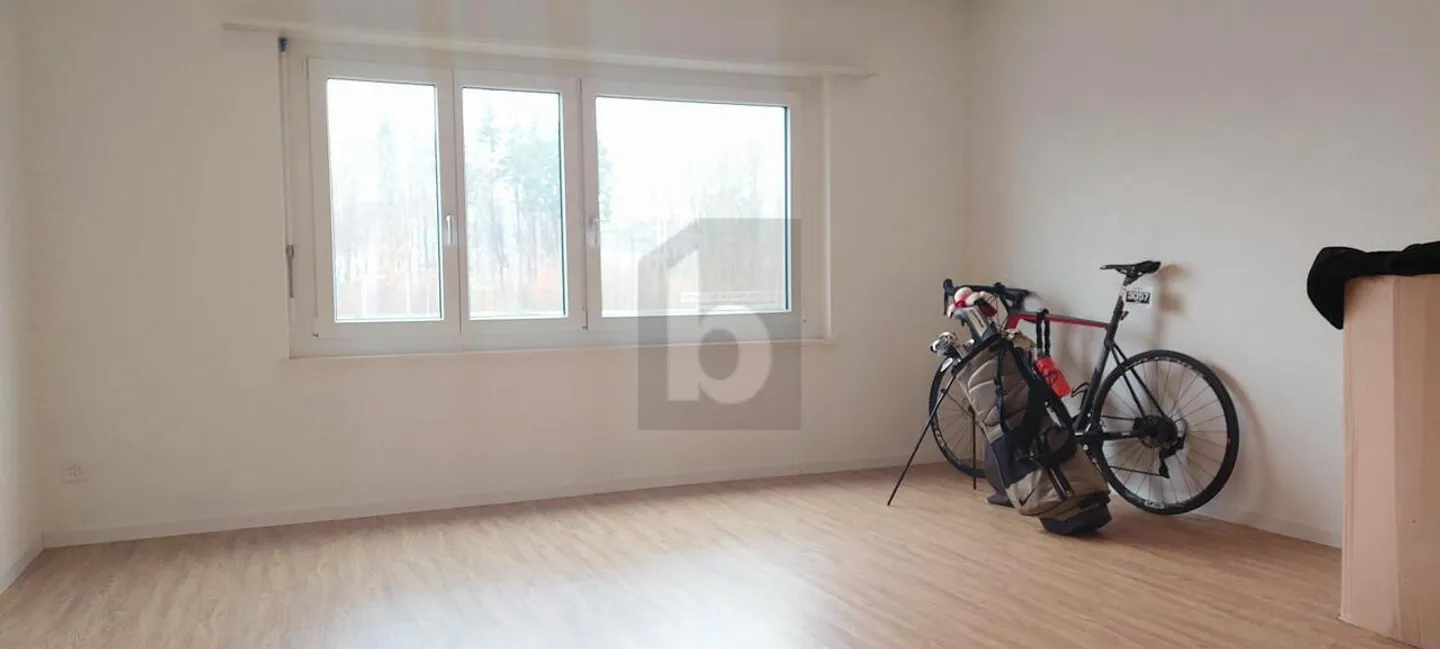 SPACIOUS WITH SUNNY TERRACE - Photo 4 of 6