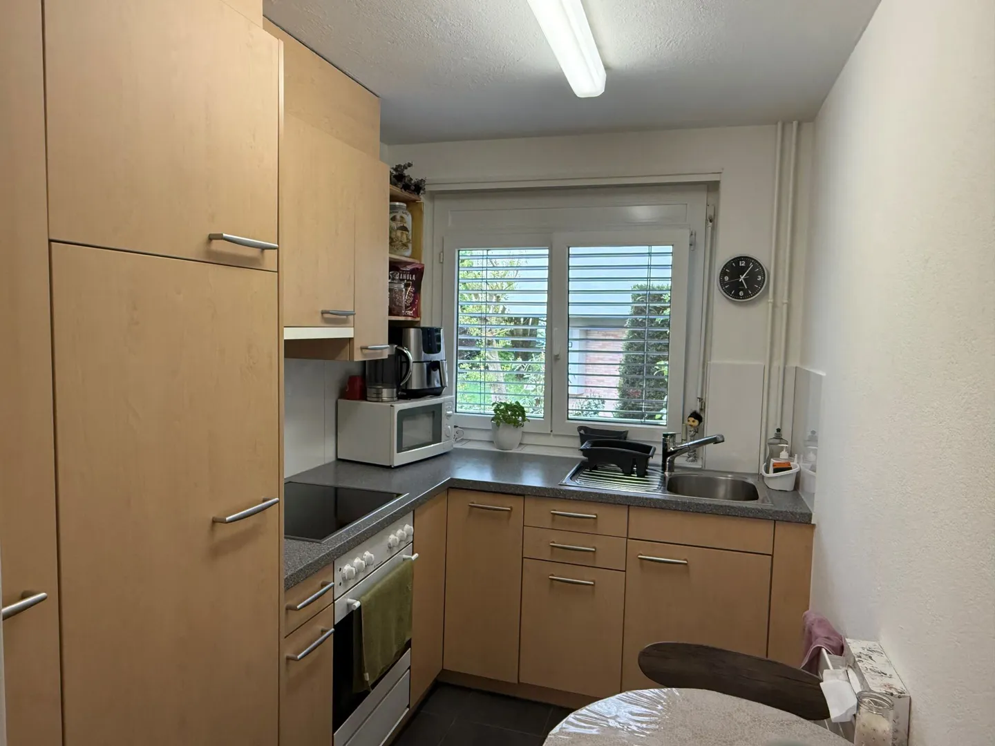 1 Room Apartment with Patio - Photo 2 of 12