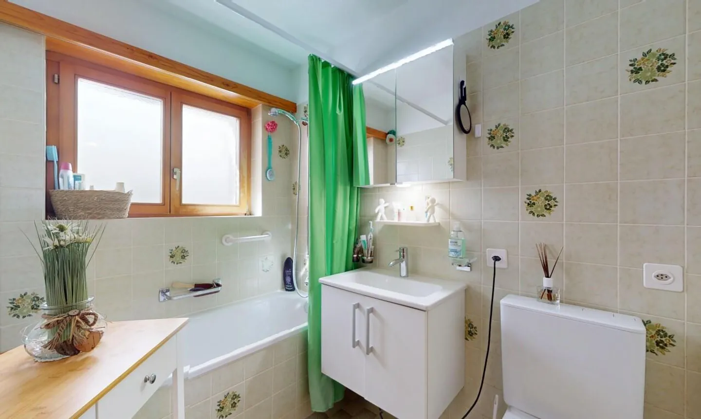 Investing with a View: MFH for Sale in Prime Location of Thusis - Photo 12 of 13