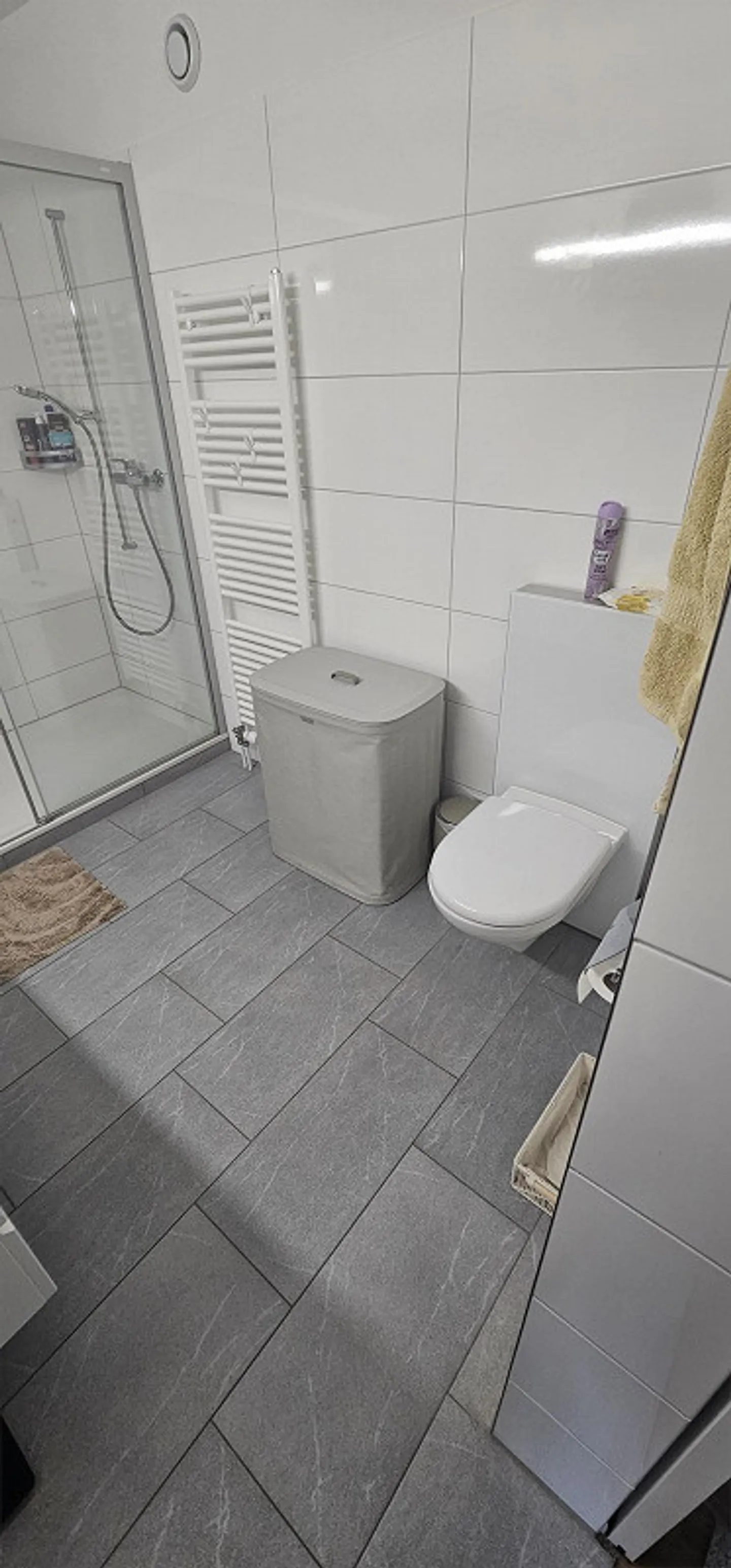 Helle 4.5-Zimmer-Wohnung in Muri - Foto 5 von 17