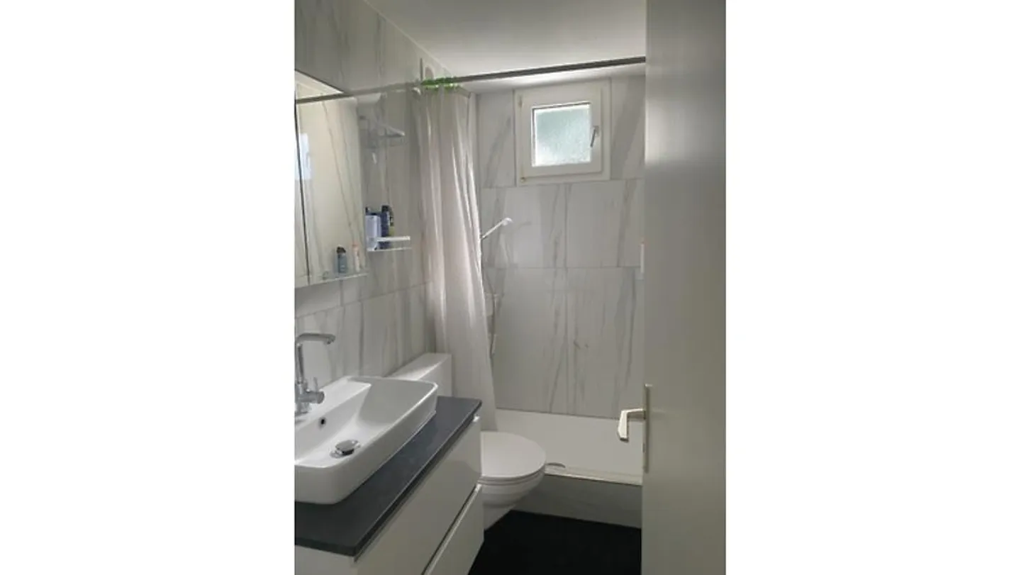 3½ ROOM APARTMENT IN IPSACH (BE), FURNISHED, TEMPORARY - Photo 6 of 7