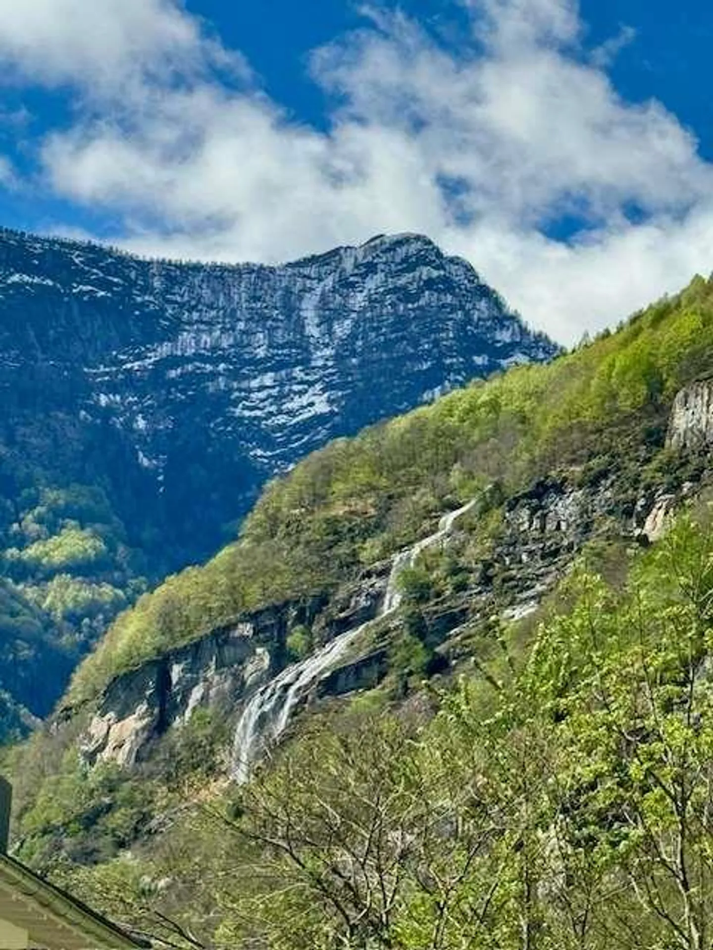 Appartamento 3,5 locali con giardino - Foto 10 di 13