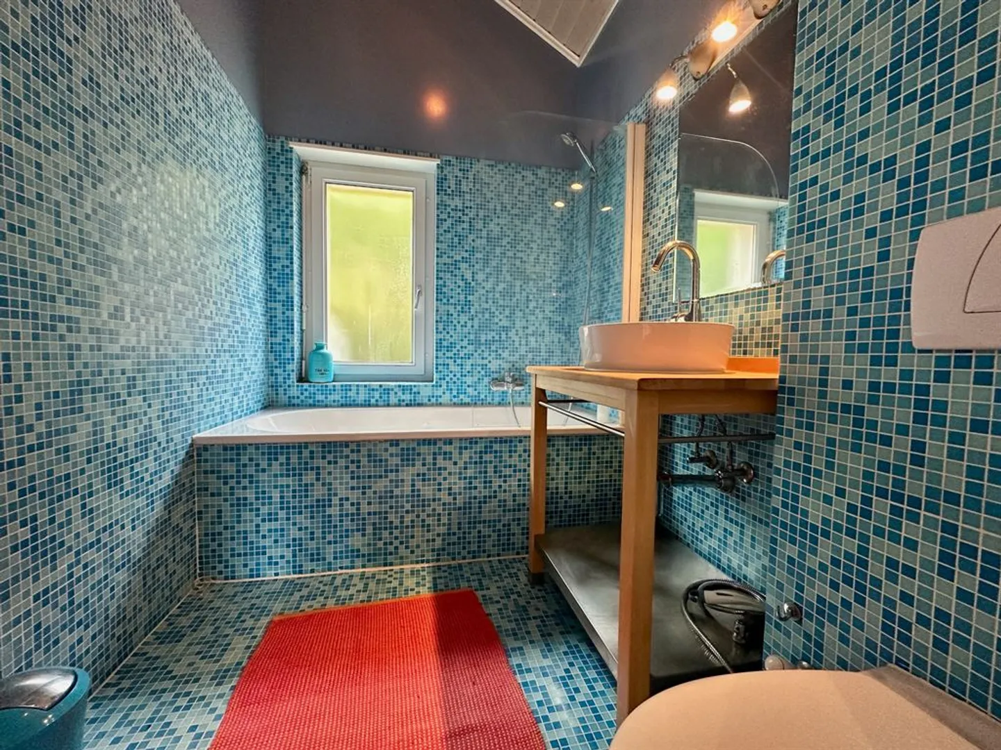 Panoramablick auf den See und die Alpen, ruhig und ohne direkte Nachbarn - Foto 7 von 13